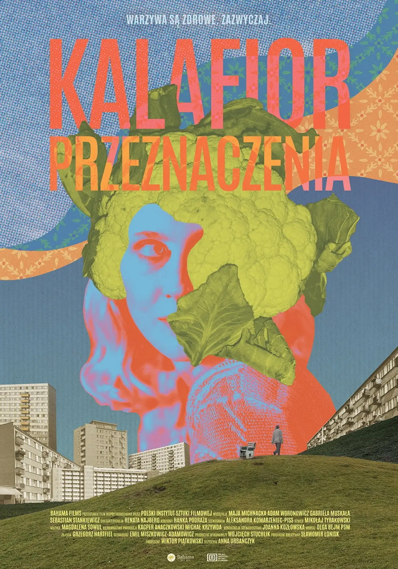 Plakat filmowy "Kalafior przeznaczenia"