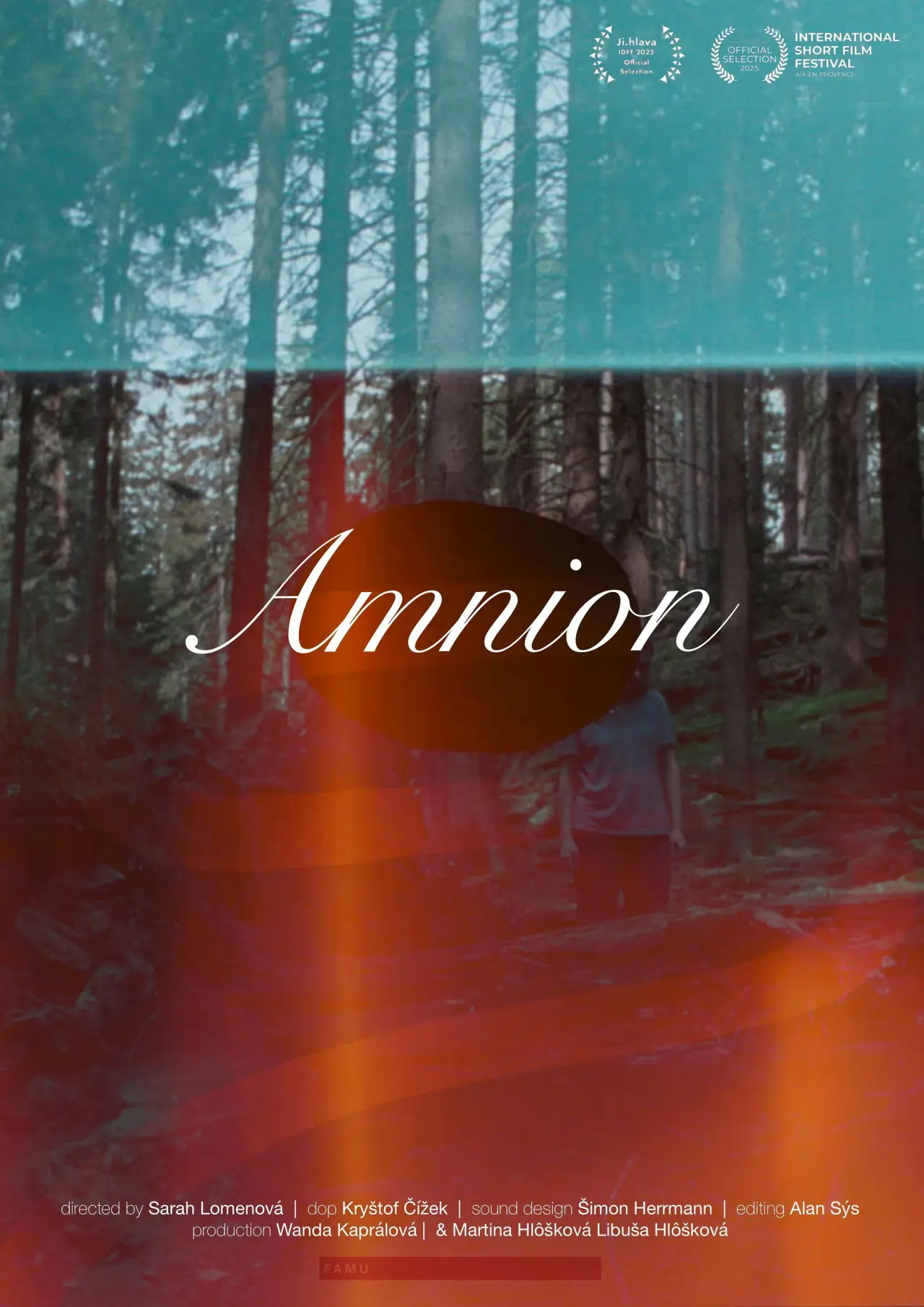 Plakat filmowy "Amnion"