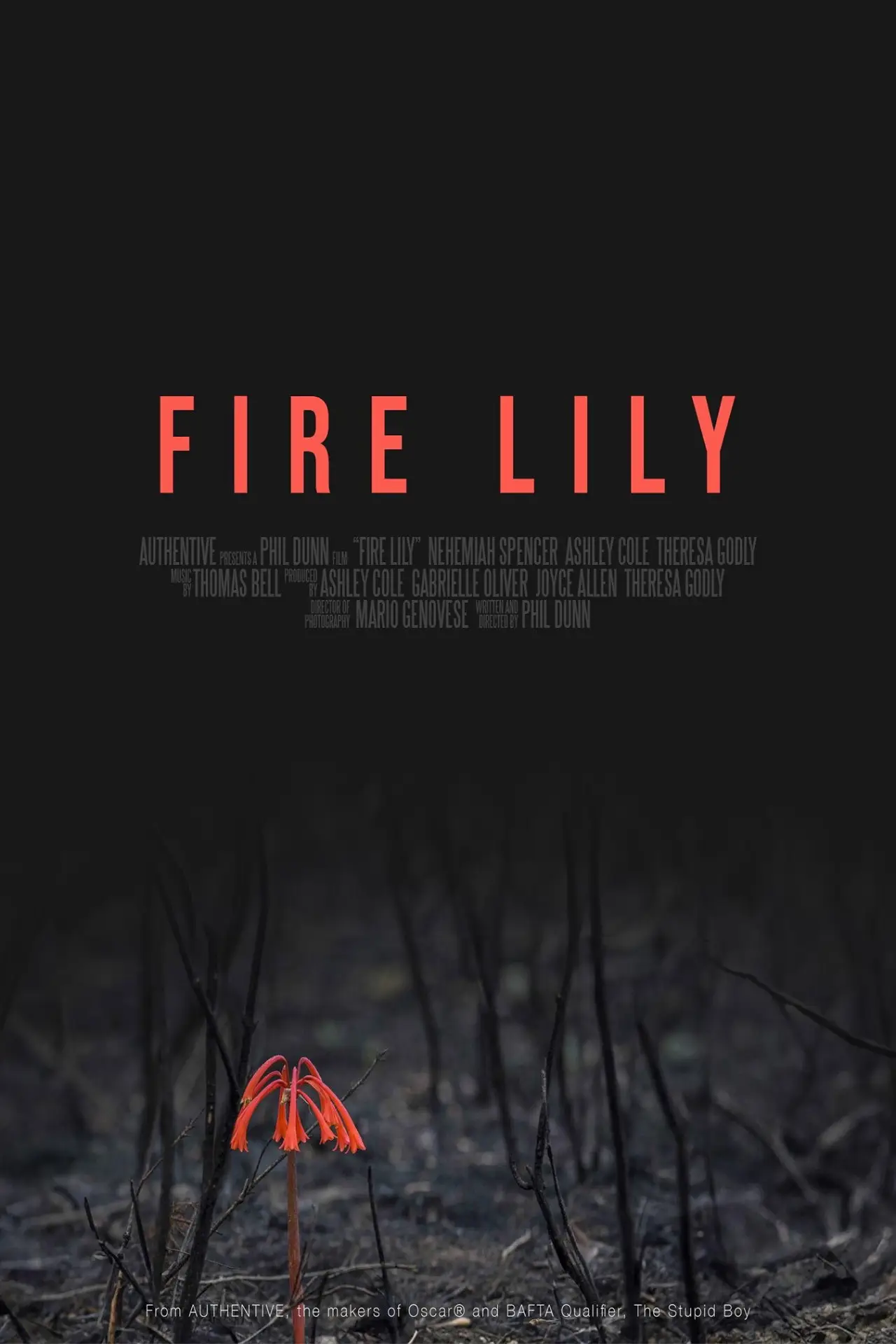 Plakat filmowy "Fire Lily"