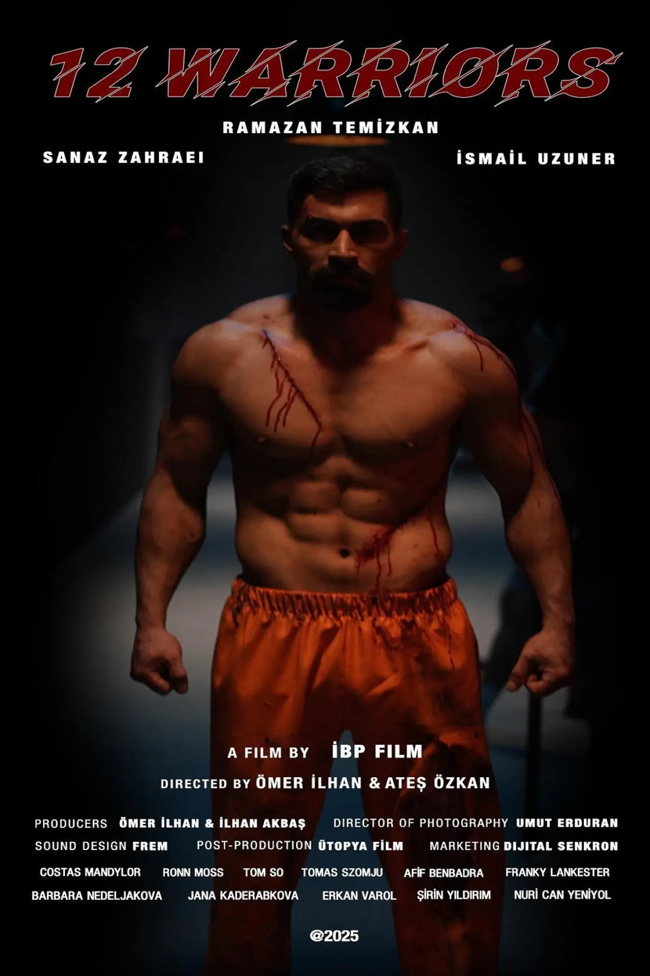 Plakat filmowy "12 Warriors"