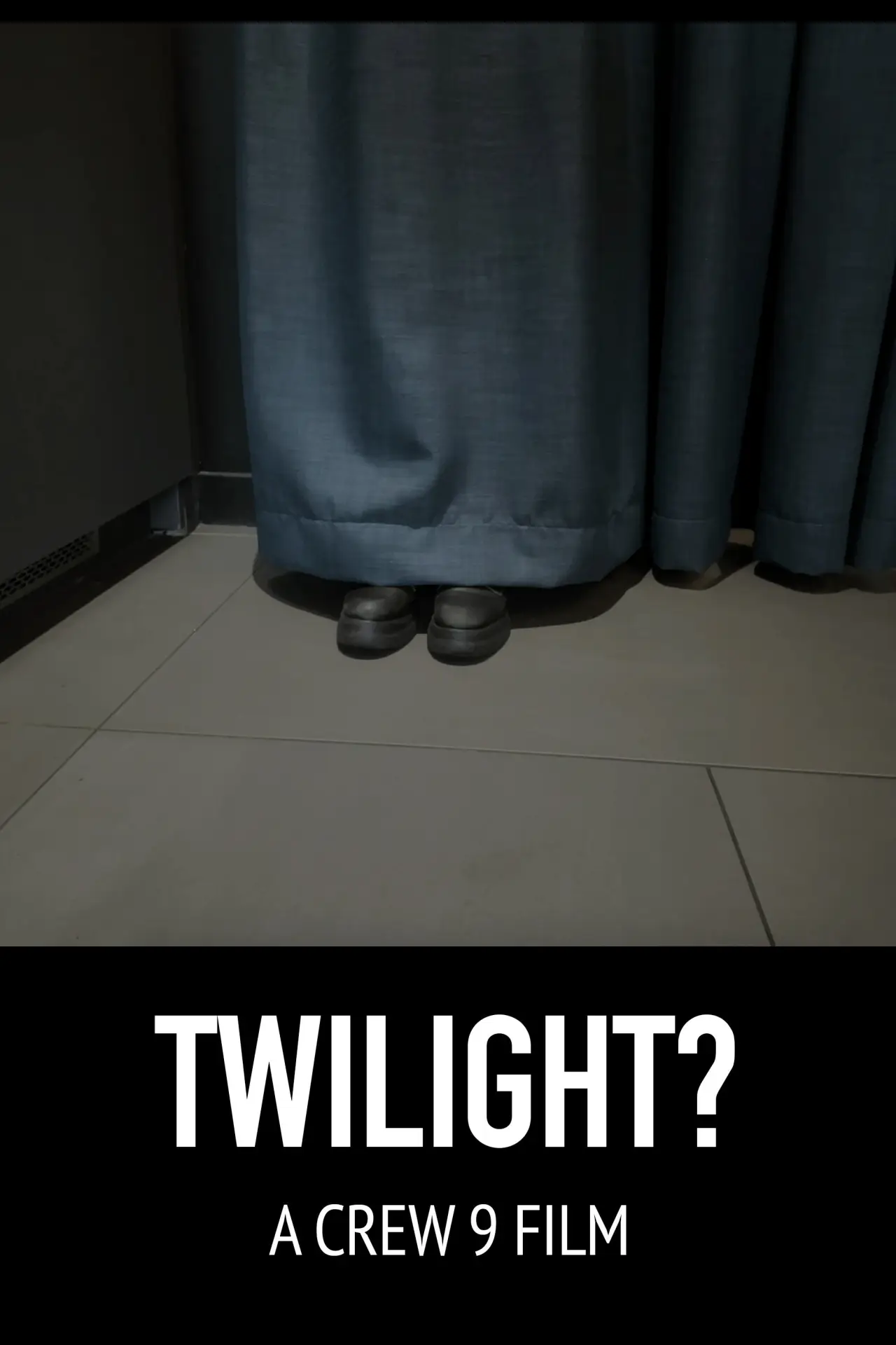 Plakat filmowy "Twilight?"