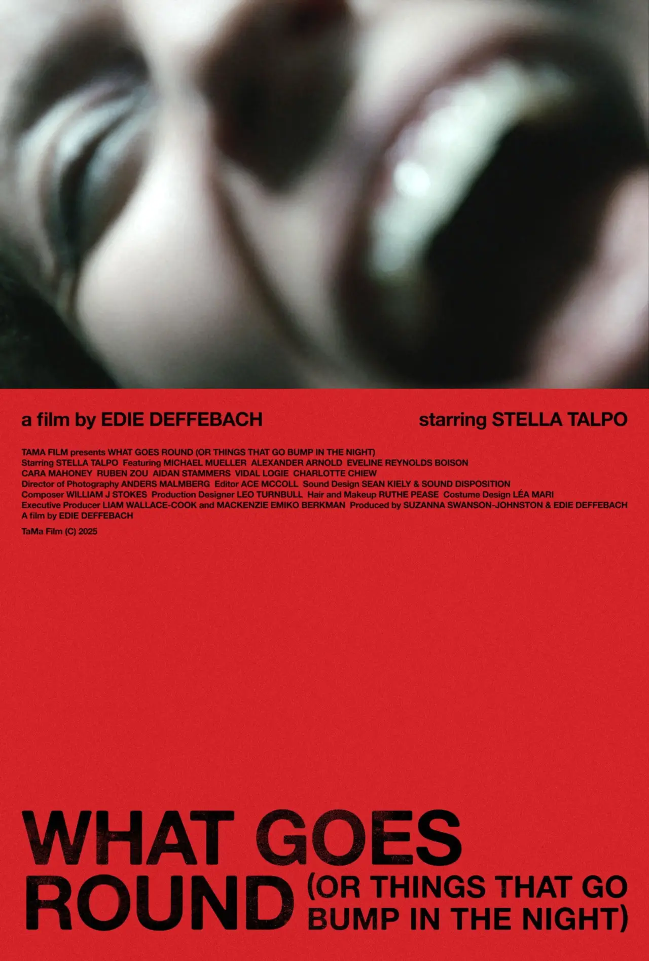 Plakat filmowy "What Goes Round (Or Things That Go Bump In The Night)"