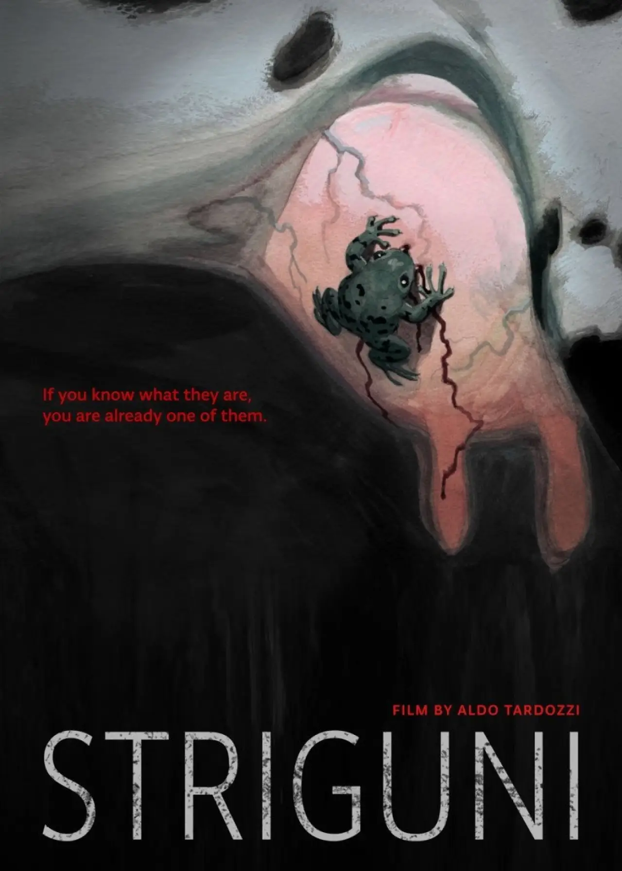 Plakat filmowy "Štriguni"