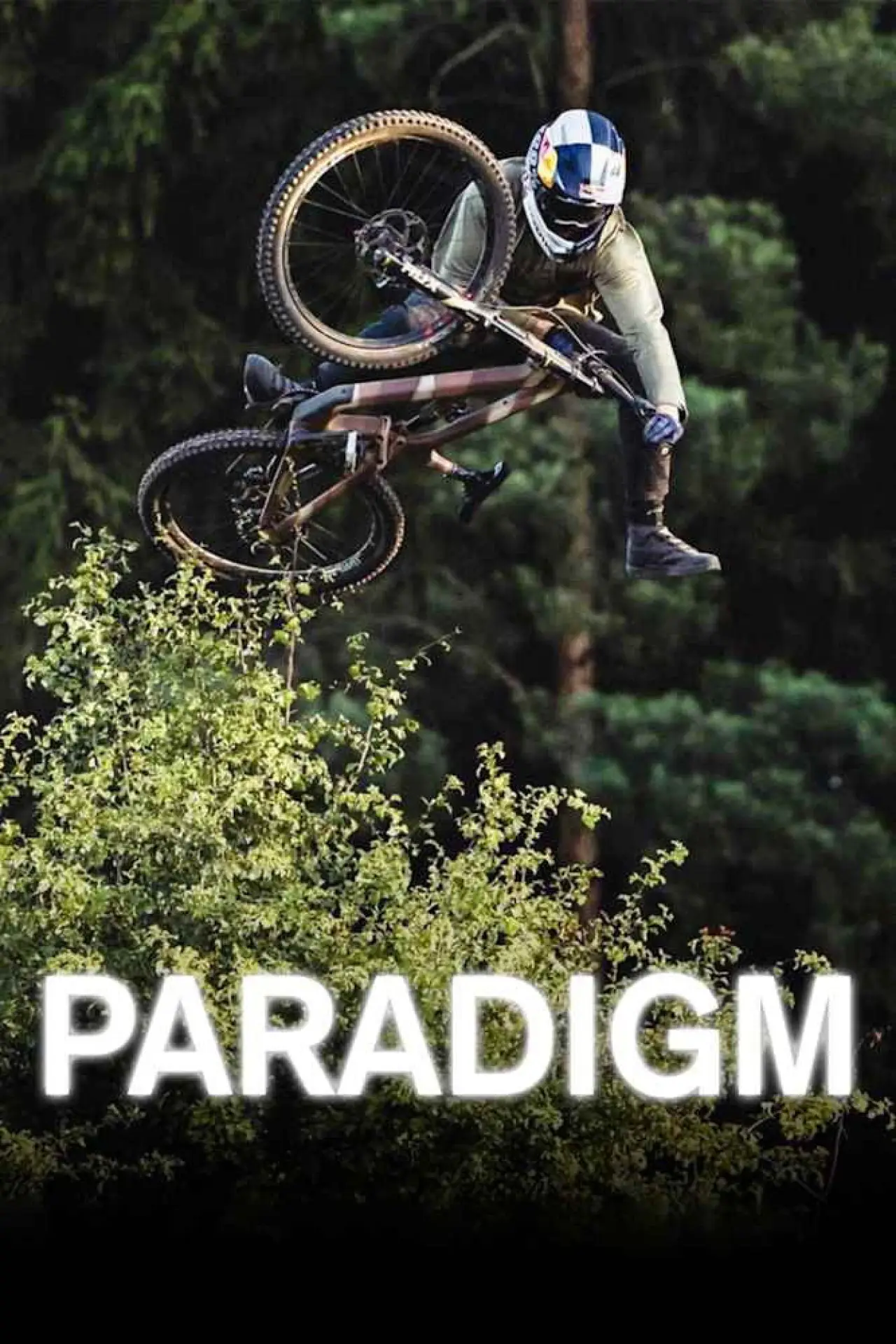 Plakat filmowy "Paradigm"