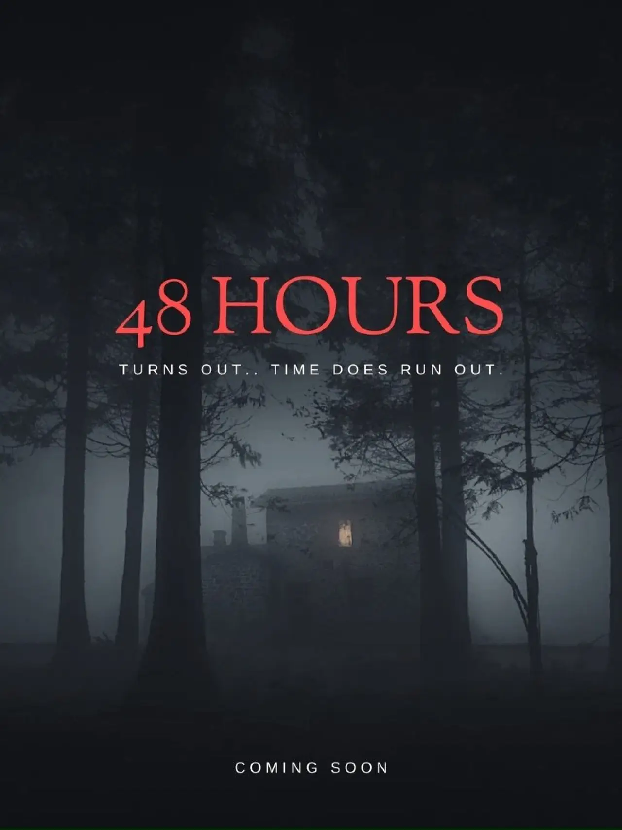 Plakat filmowy "48 Hours"