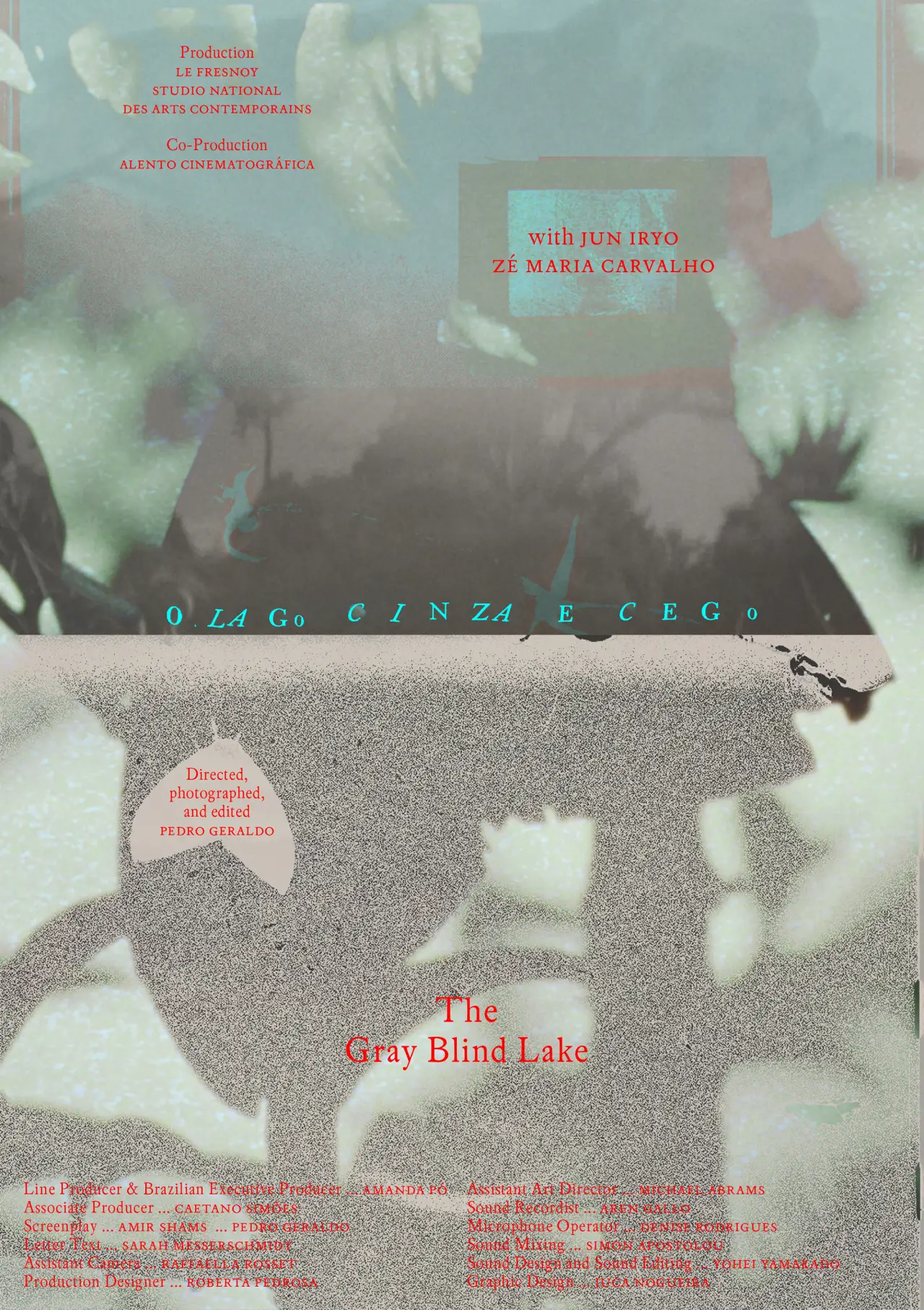 Plakat filmowy "O lago cinza e cego"