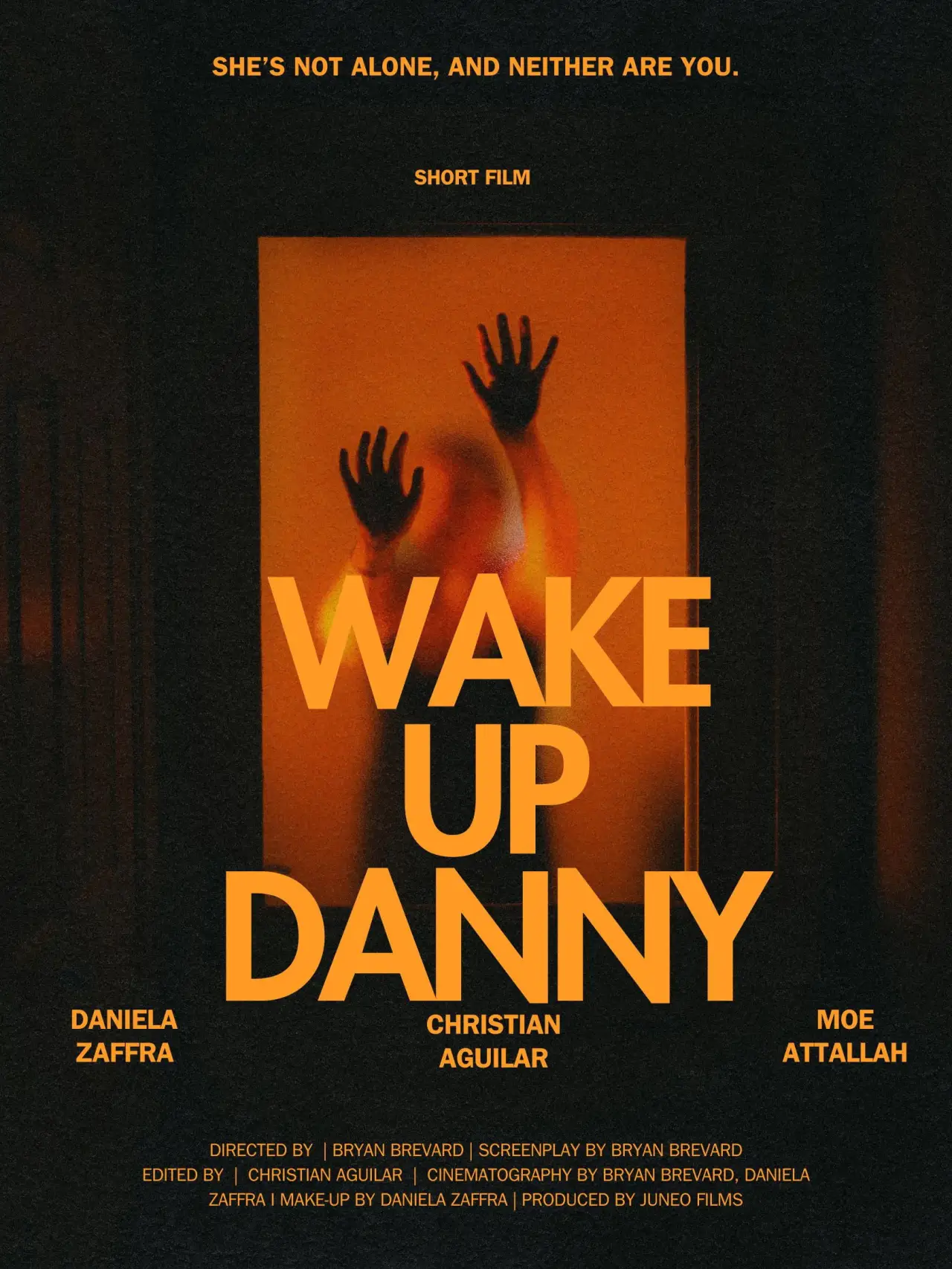 Plakat filmowy "Wake Up Danny"