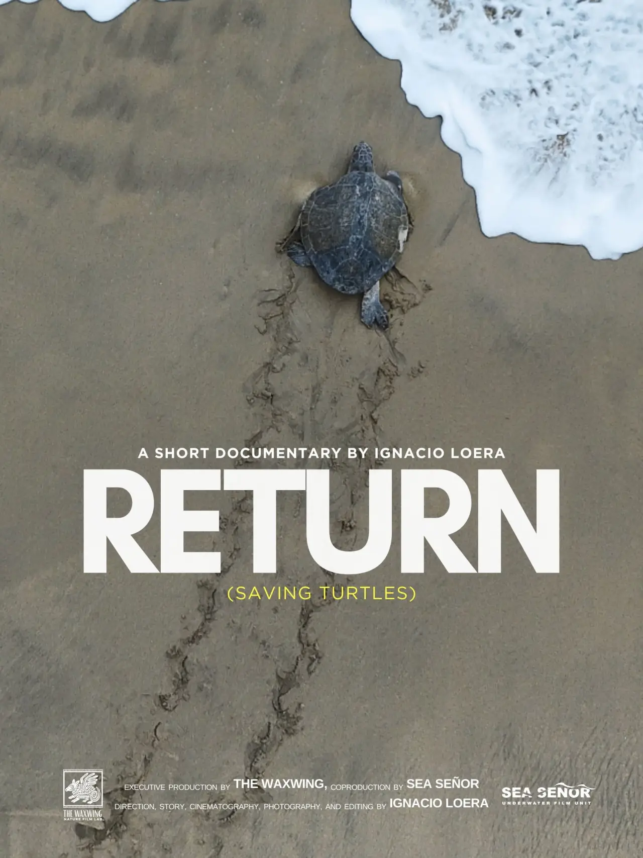 Plakat filmowy "Return: Salvando a las Tortugas"