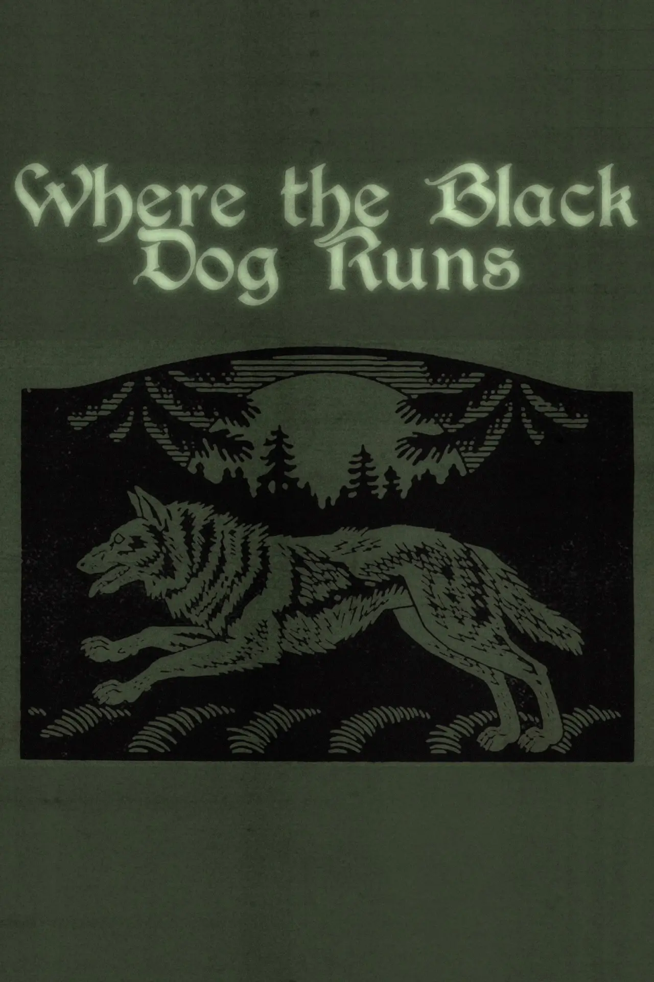 Plakat filmowy "Where the Black Dog Runs"