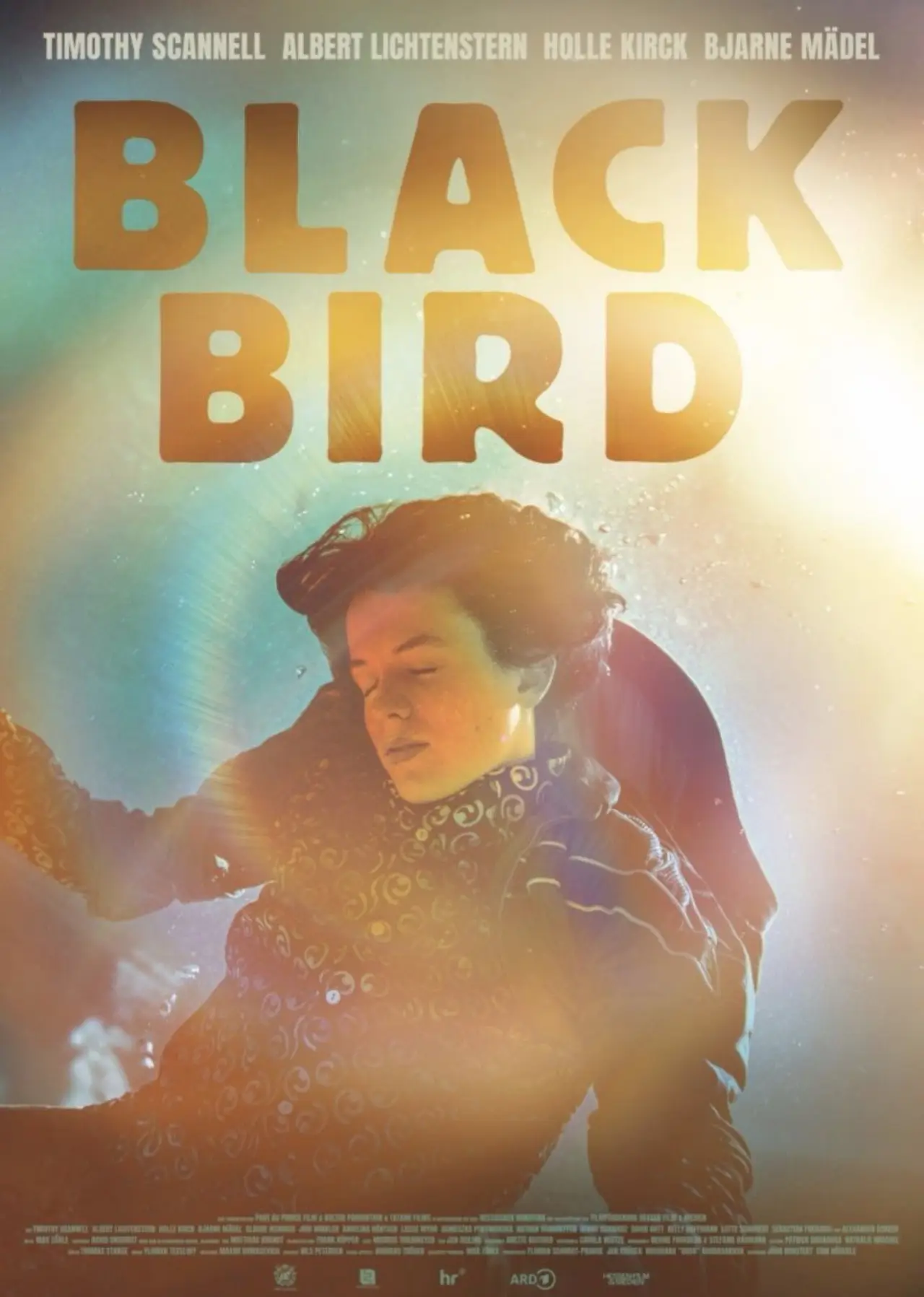 Plakat filmowy "Blackbird"