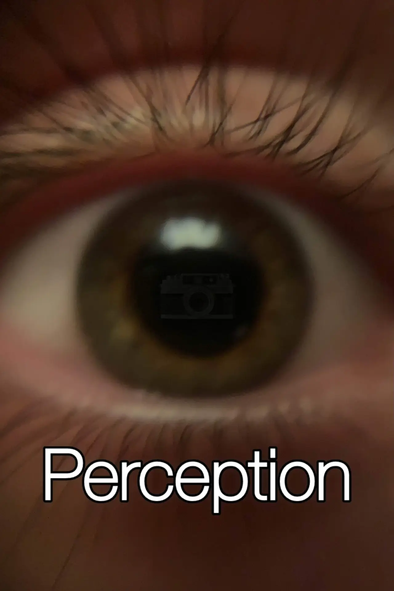 Plakat filmowy "Perception"