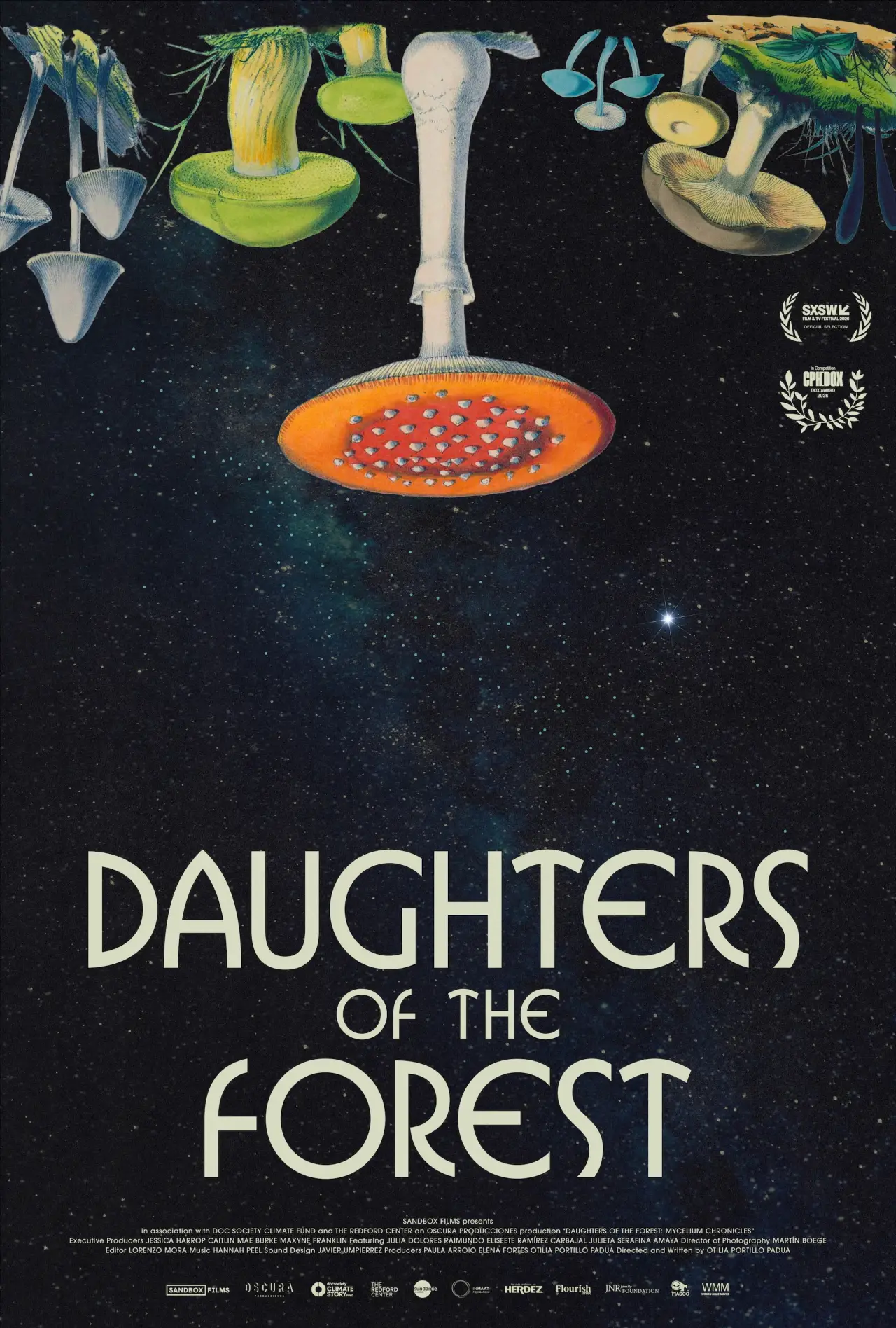Plakat filmowy "Daughters of the Forest"