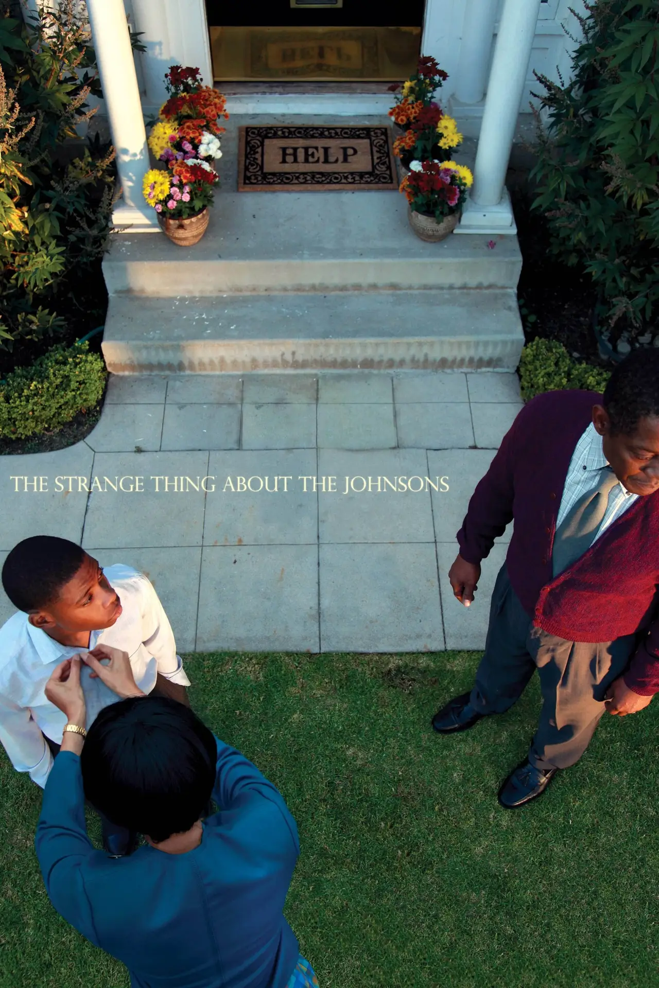Plakat filmowy "The Strange Thing About the Johnsons"
