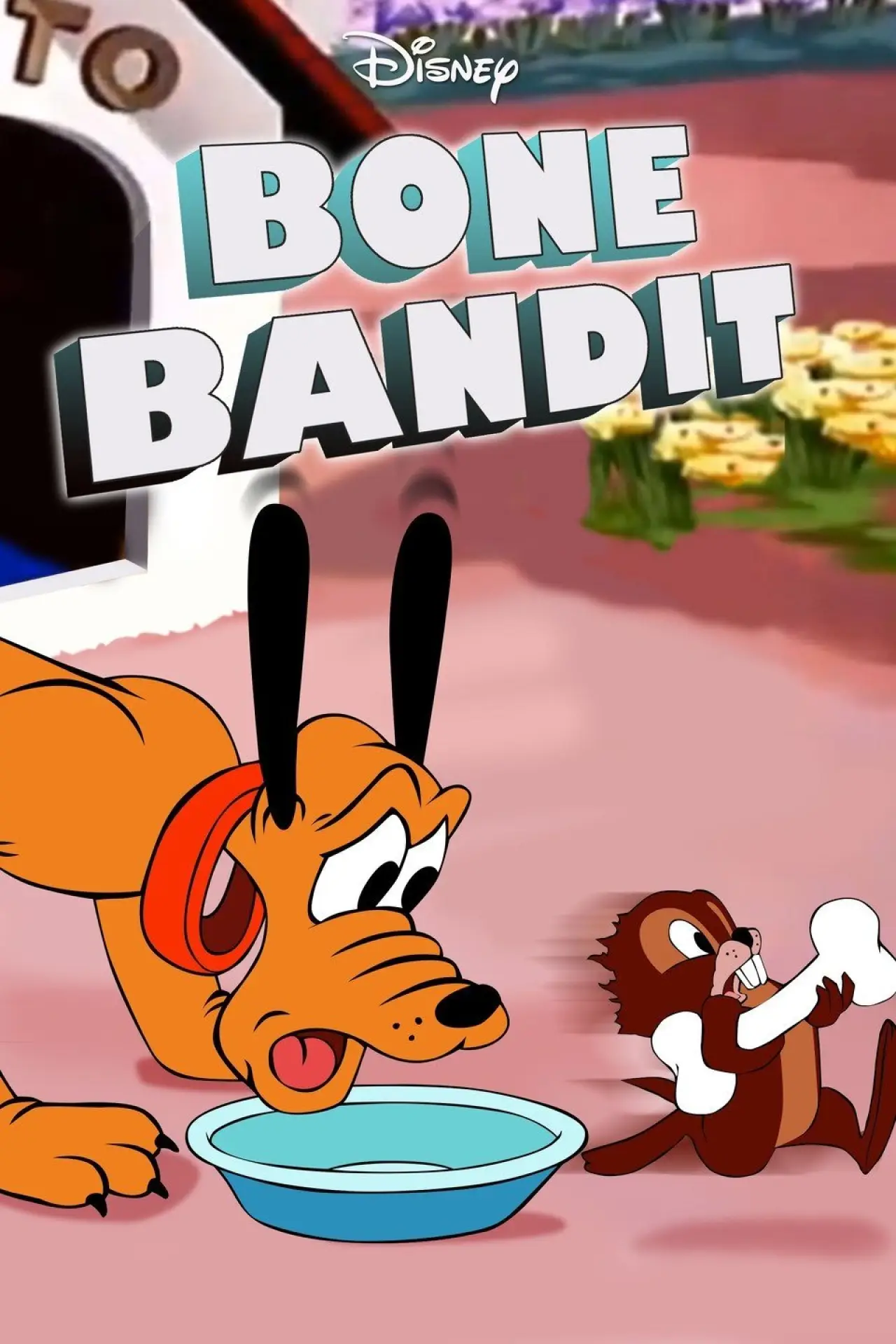 Plakat filmowy "Rabuś kości"