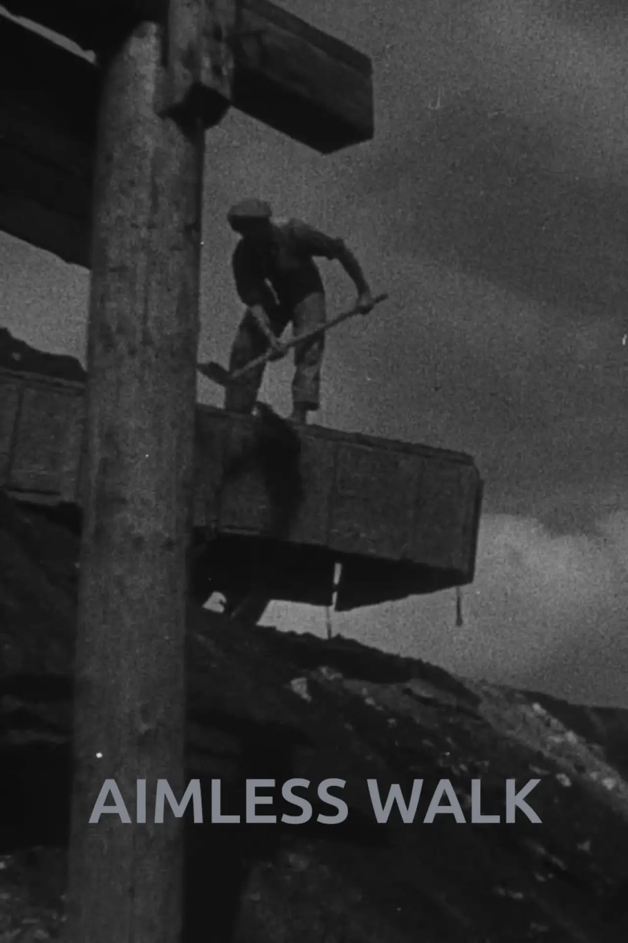 Plakat filmowy "Bezúčelná procházka"