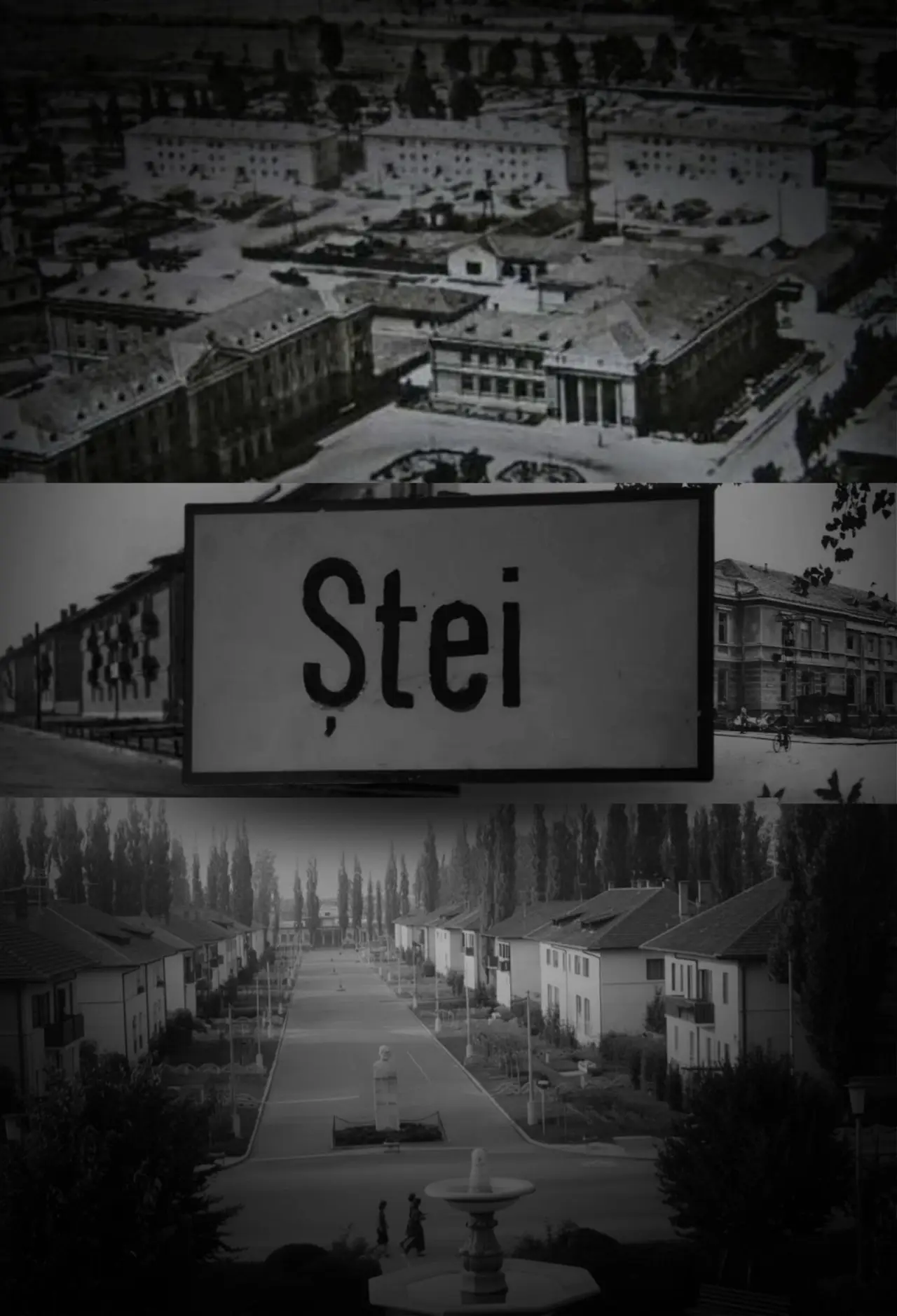 Plakat filmowy "Ștei"