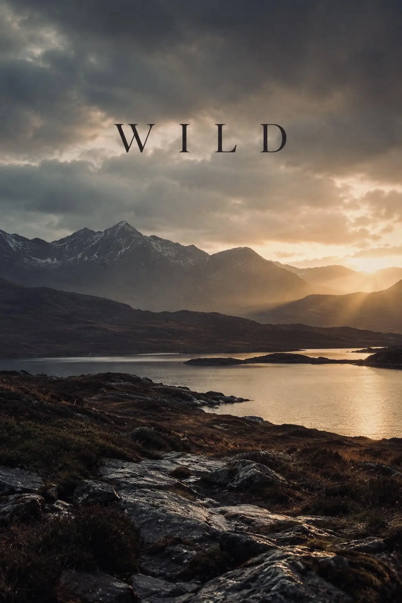 Plakat filmowy "Wild"