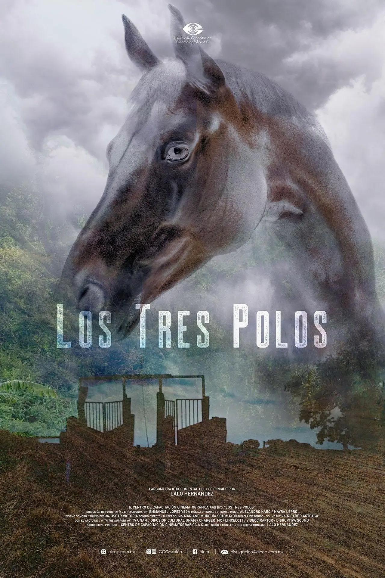 Plakat filmowy "Los tres Polos"