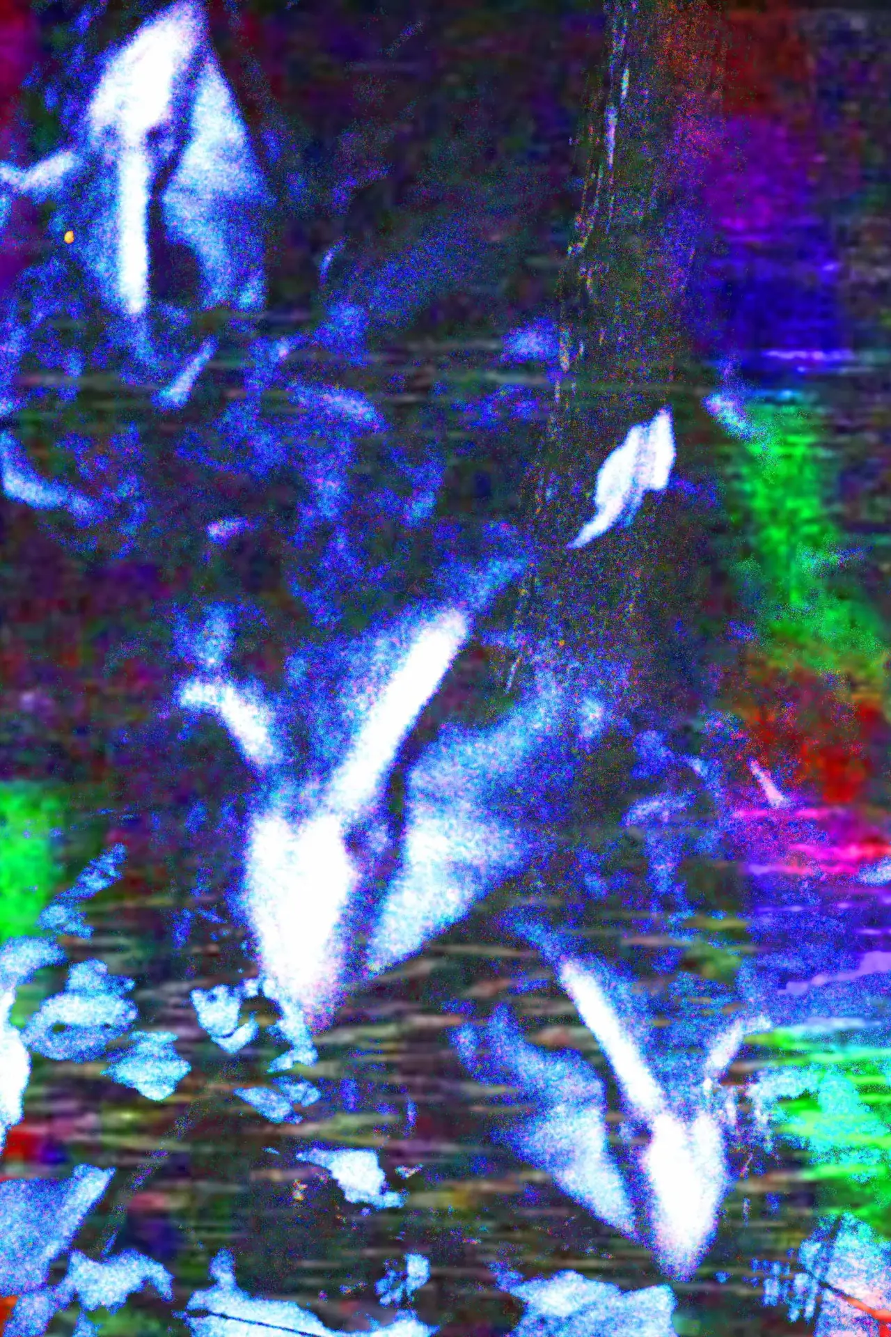 Plakat filmowy "crow.mp4"