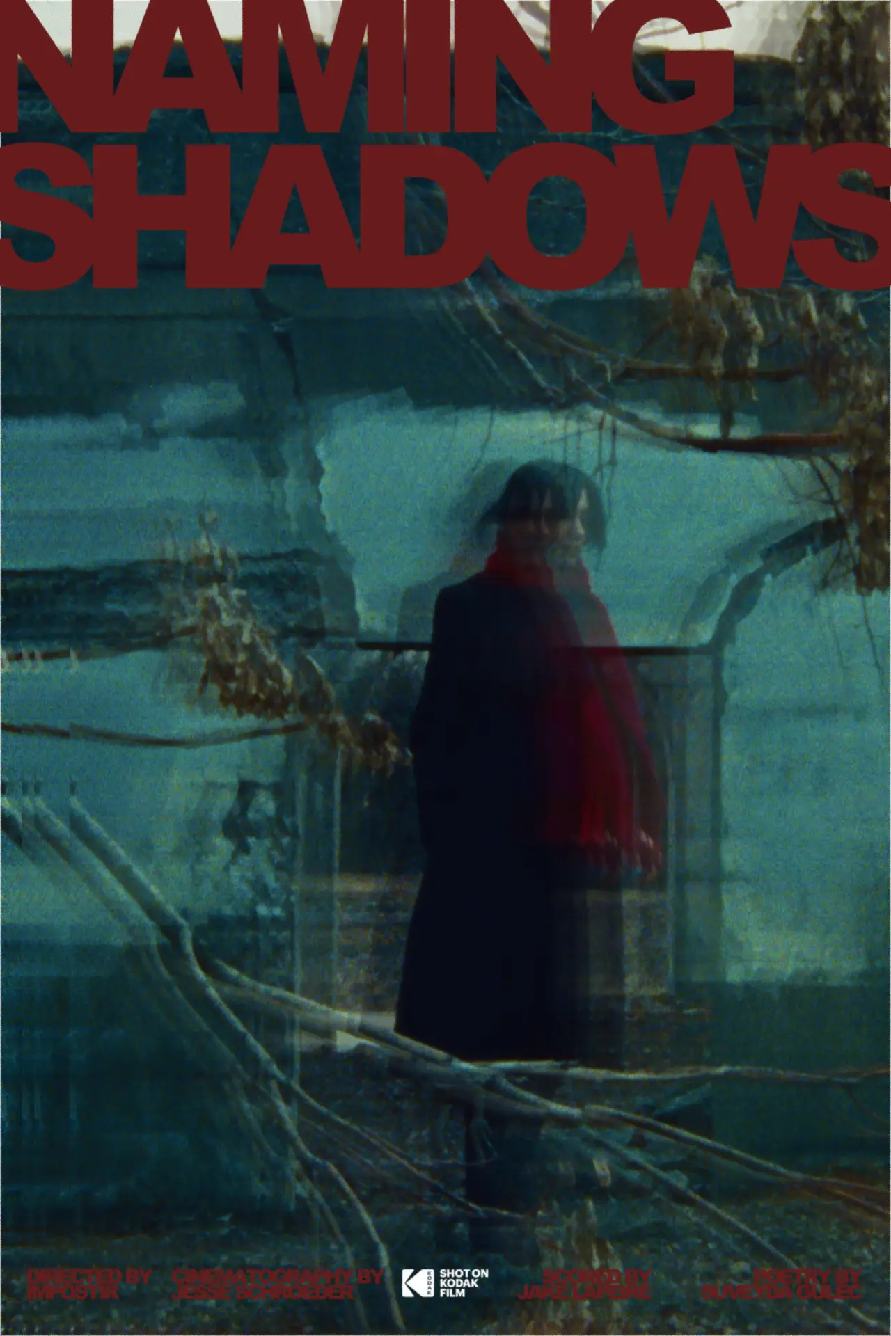 Plakat filmowy "Naming Shadows"