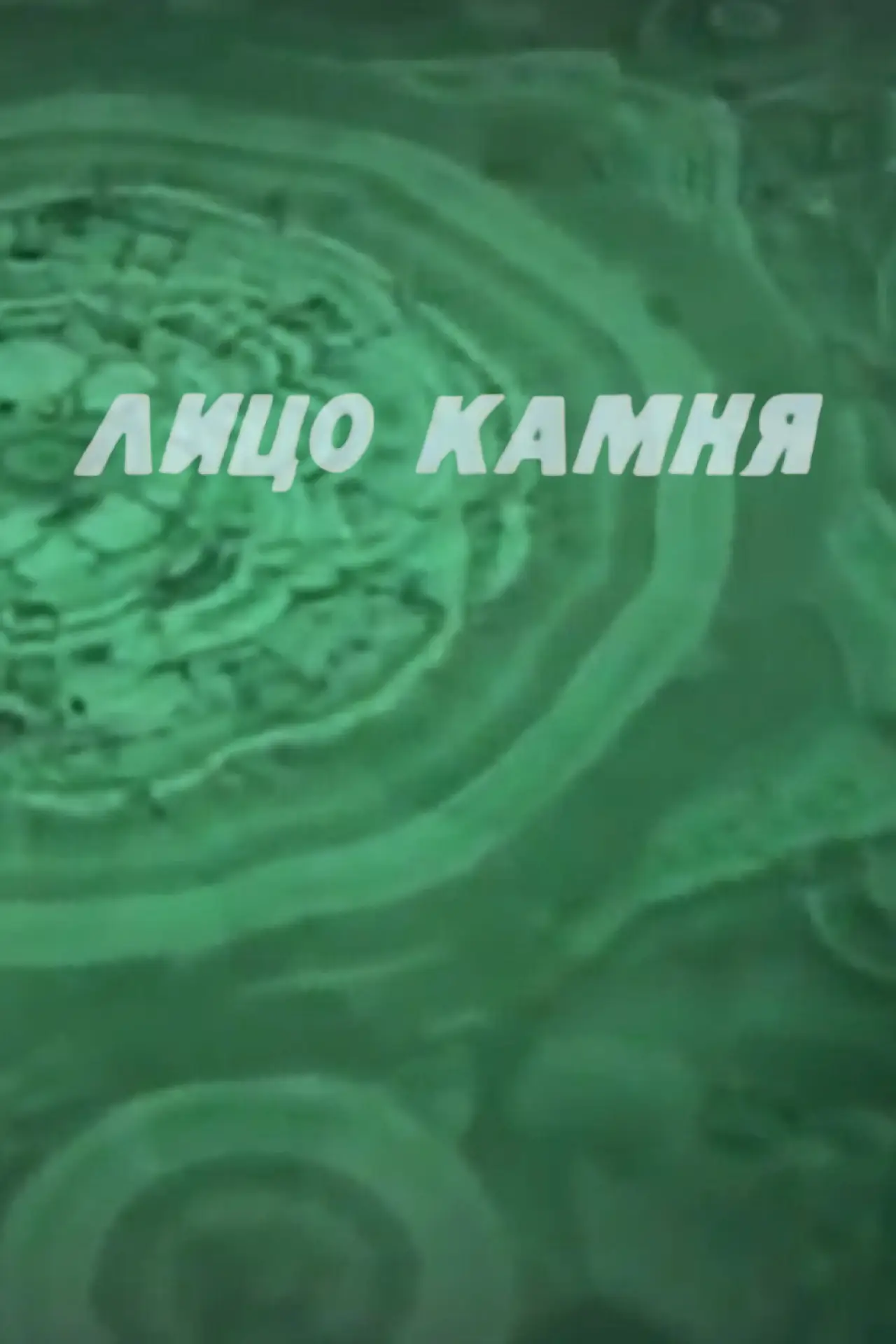 Plakat filmowy "Лицо камня"