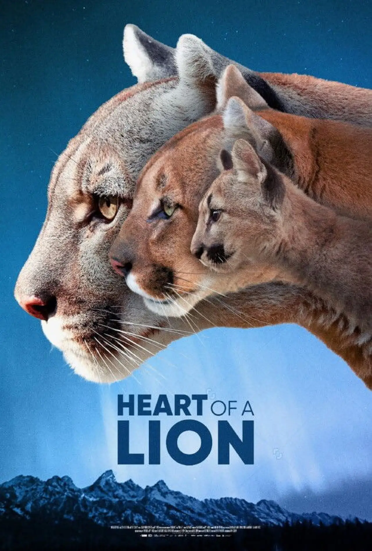 Plakat filmowy "Heart of a Lion"