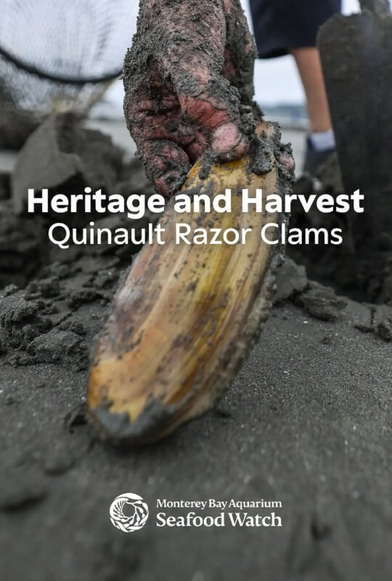 Plakat filmowy "Heritage and Harvest: Quinault Razor Clams"
