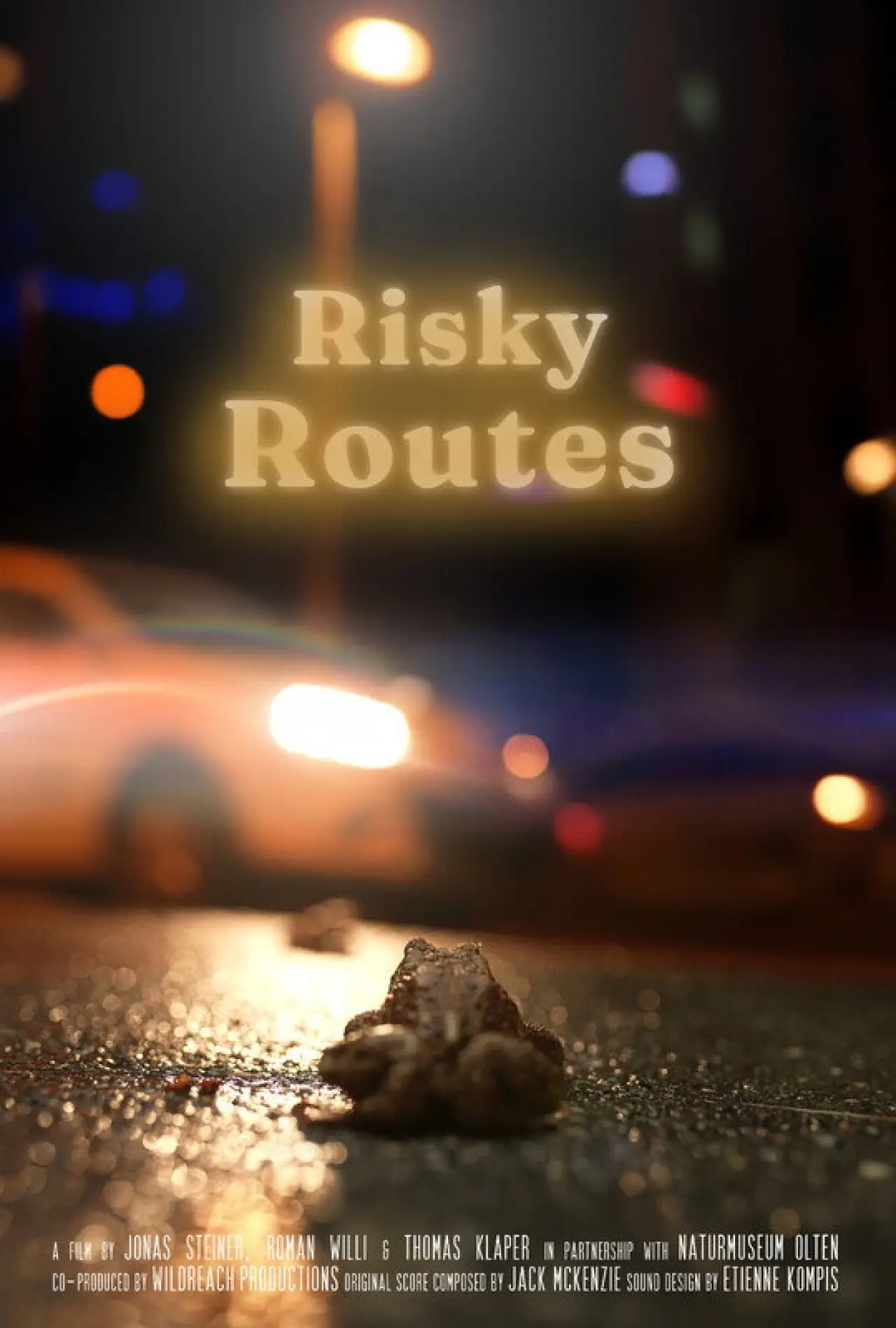 Plakat filmowy "Risky Routes"