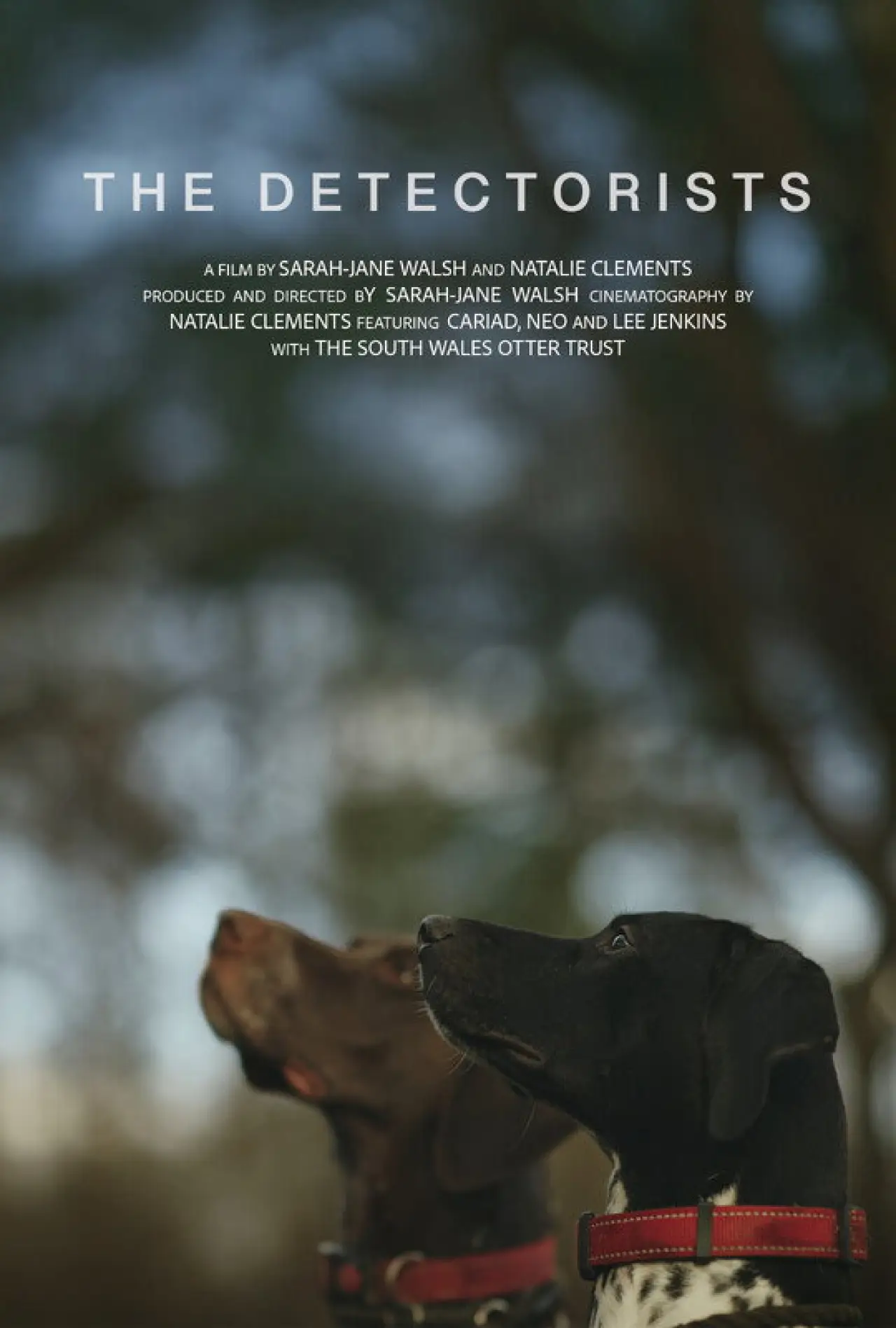 Plakat filmowy "The Detectorists"