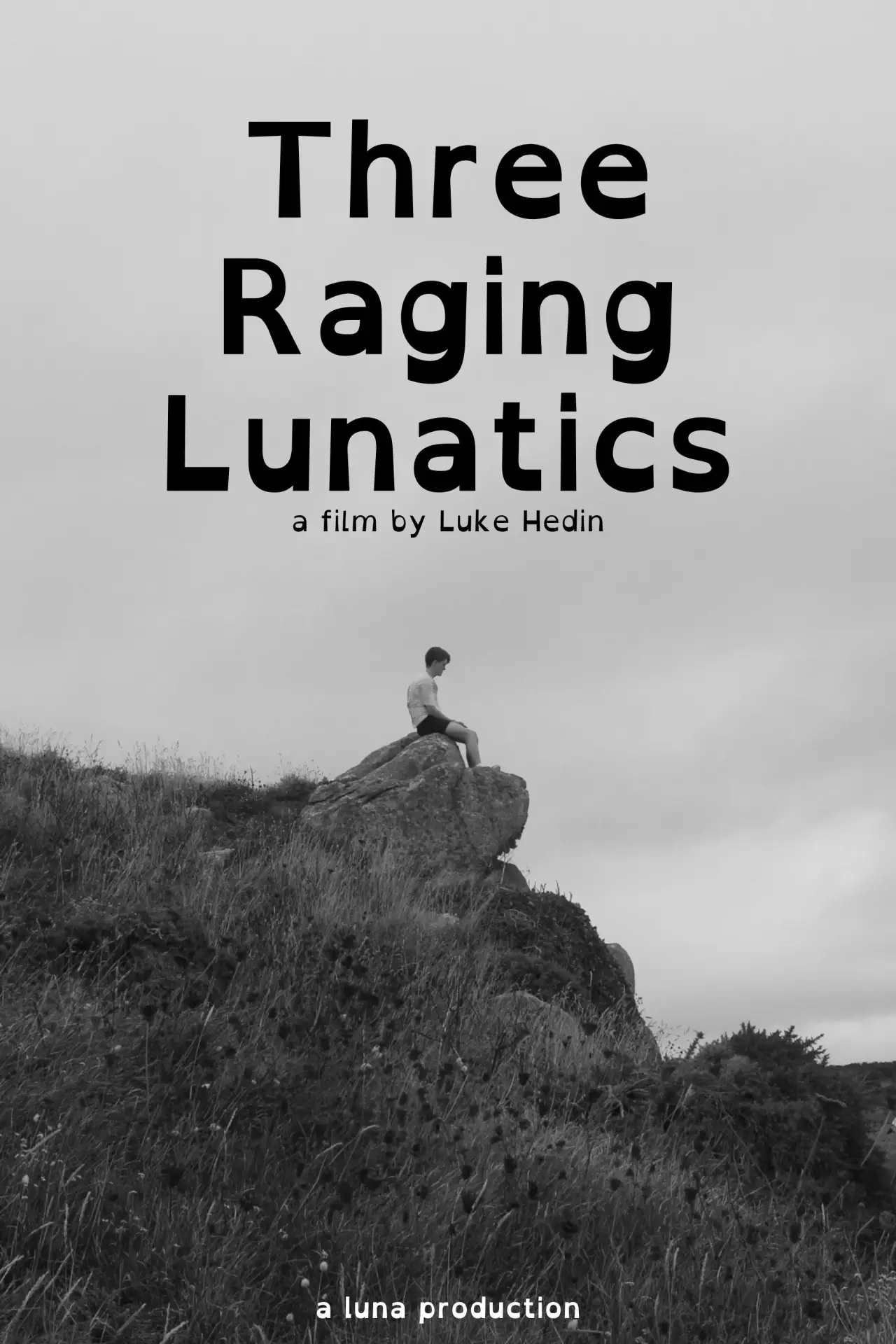Plakat filmowy "Three Raging Lunatics"