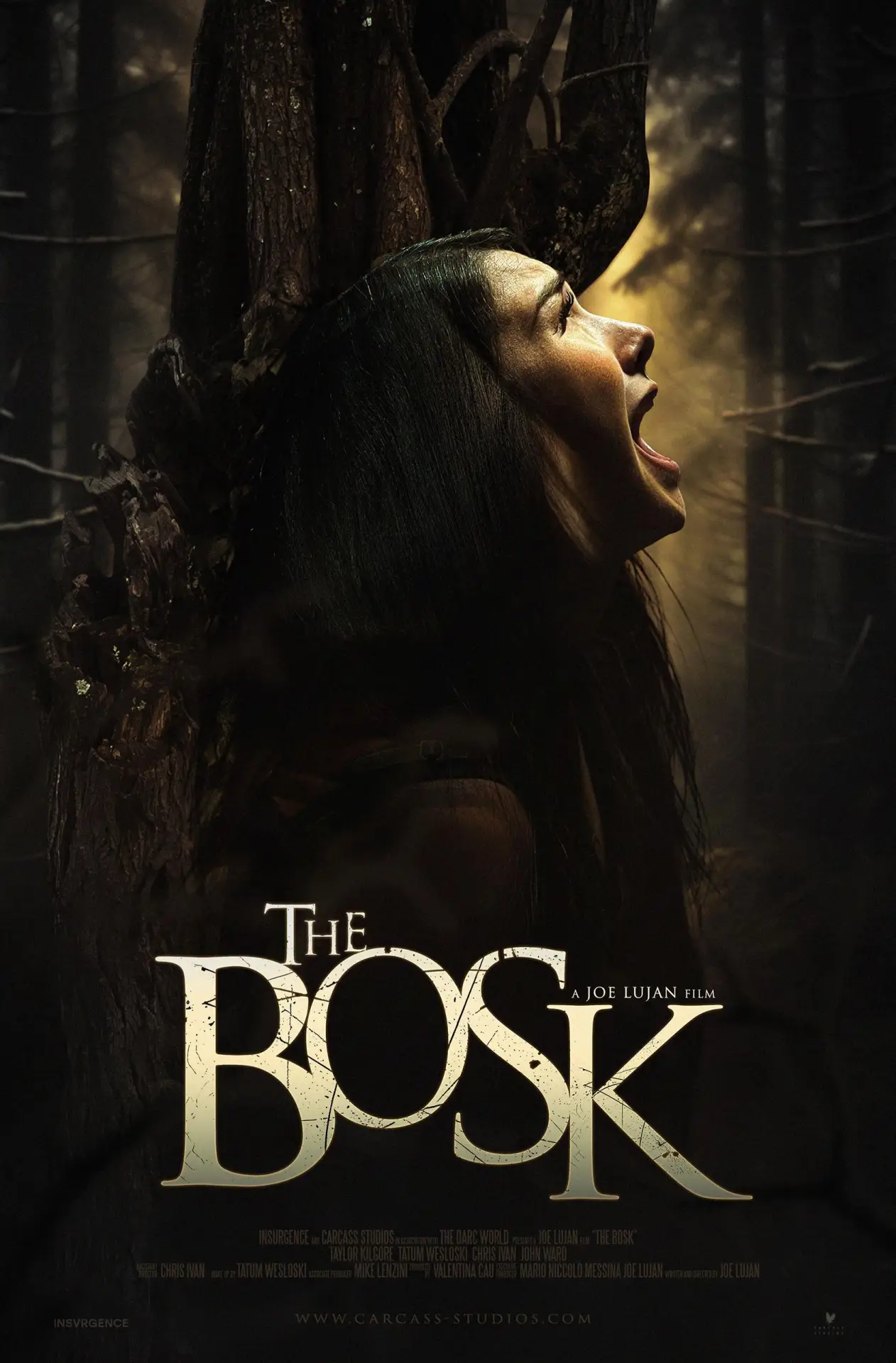 Plakat filmowy "The Bosk"