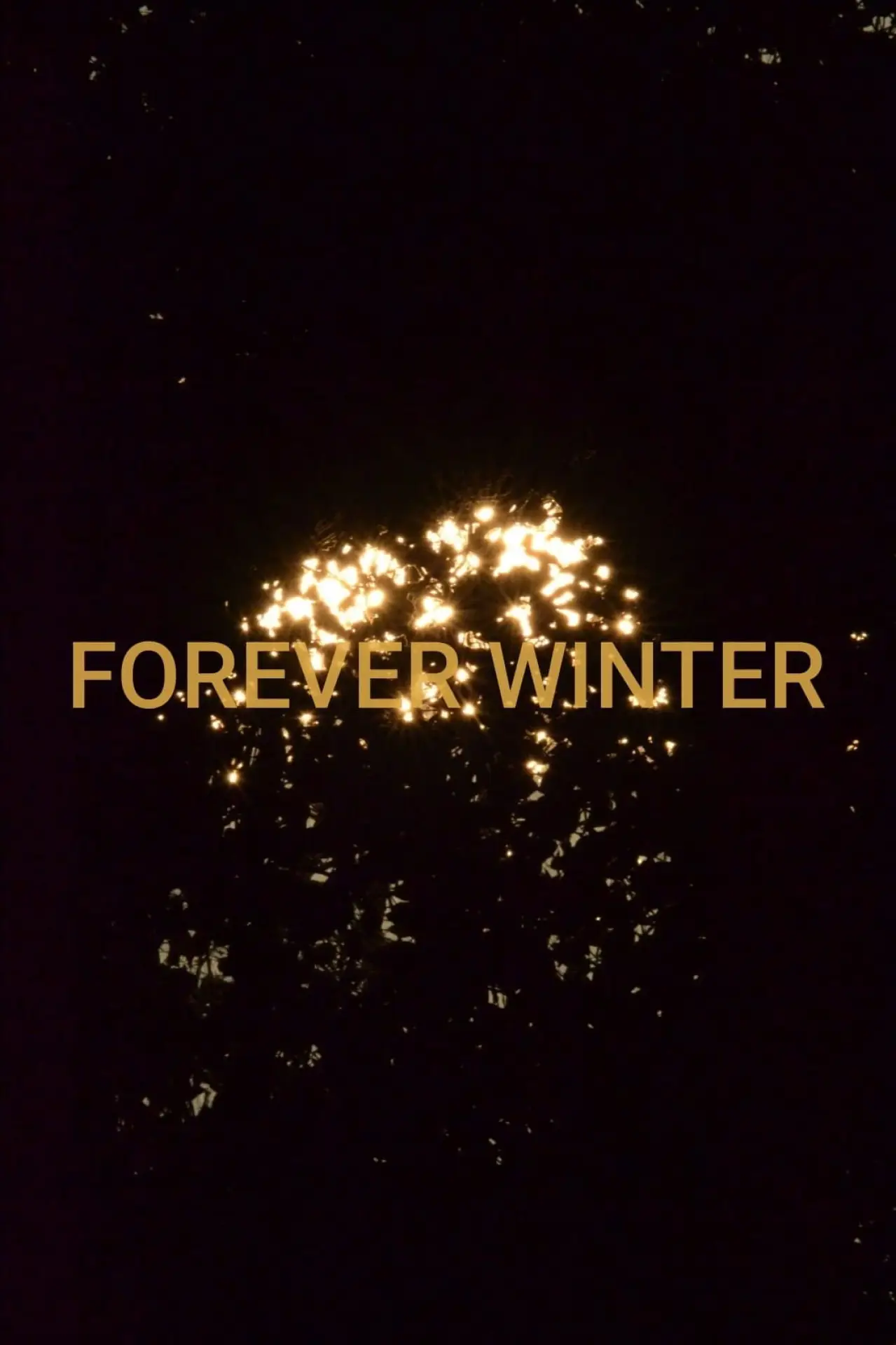 Plakat filmowy "Forever Winter"