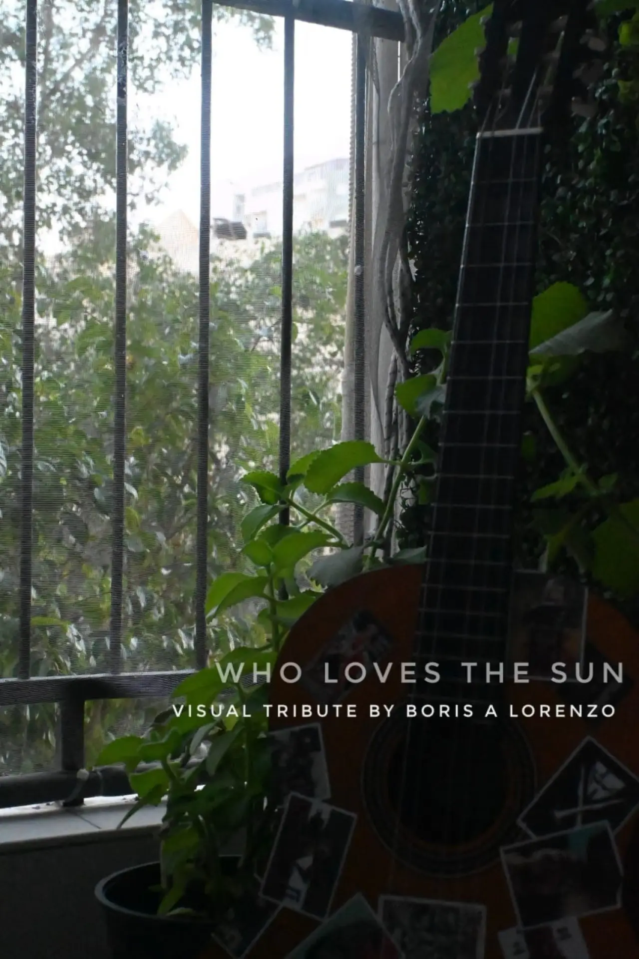 Plakat filmowy "Who Loves The Sun"