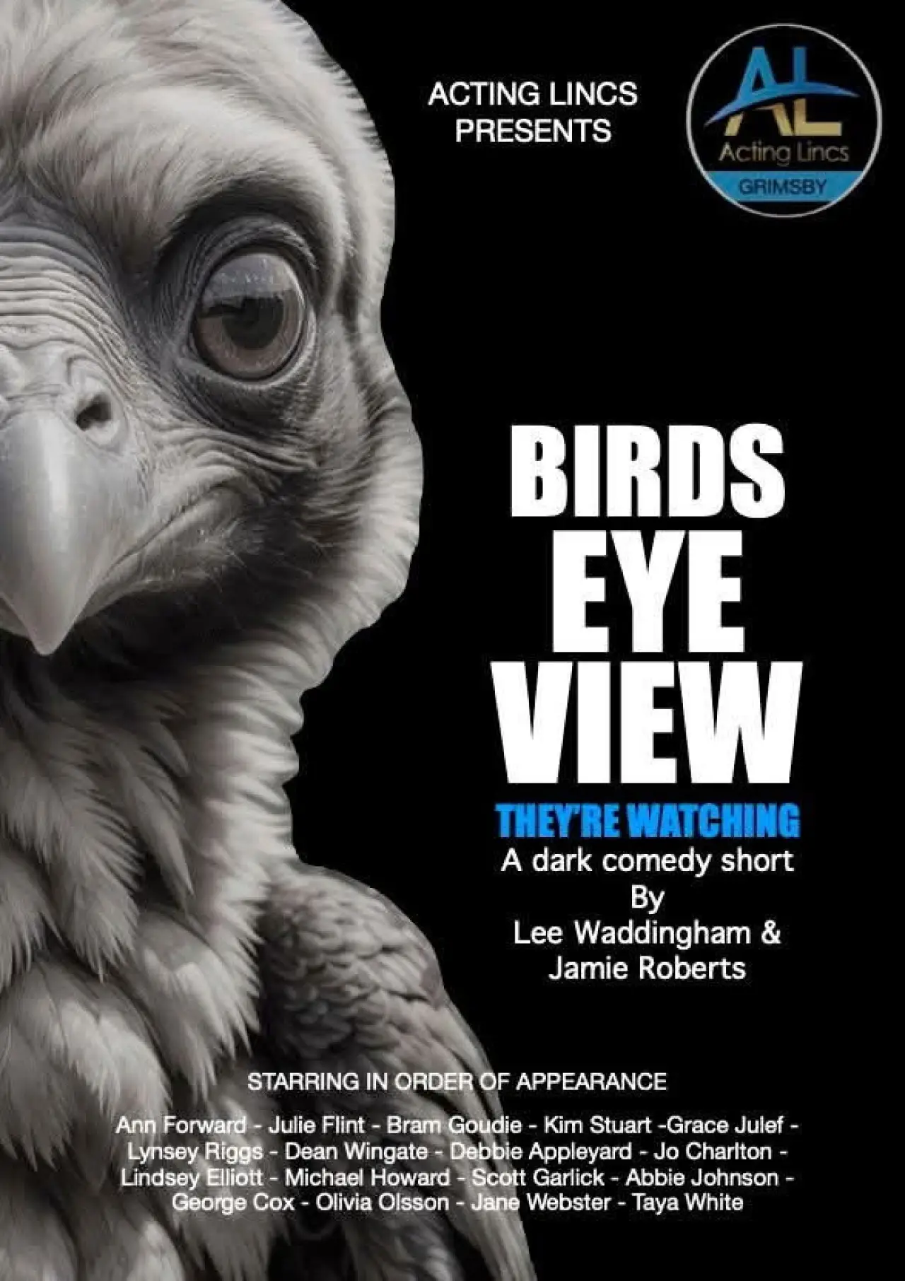 Plakat filmowy "Birds Eye View"