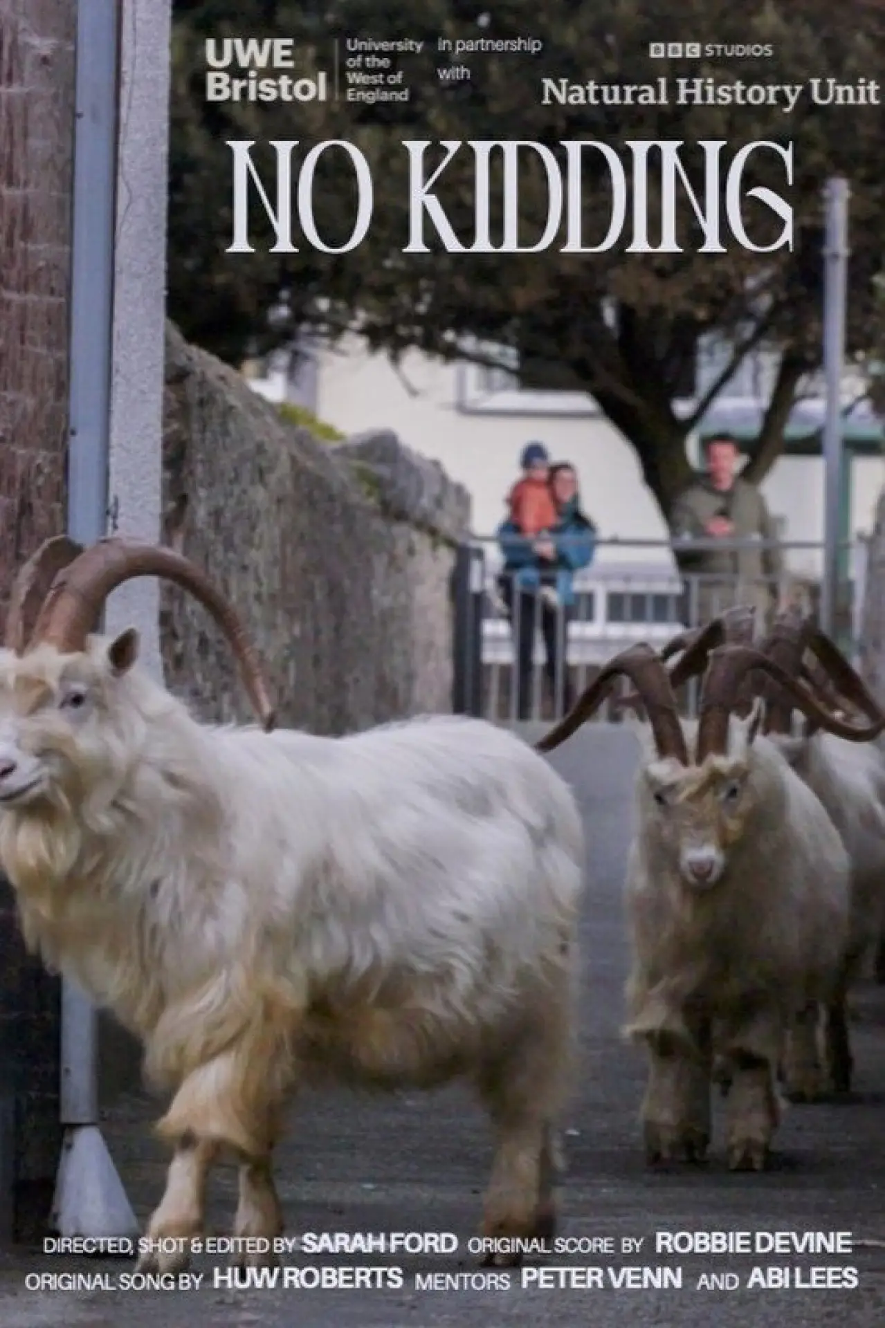 Plakat filmowy "No Kidding"