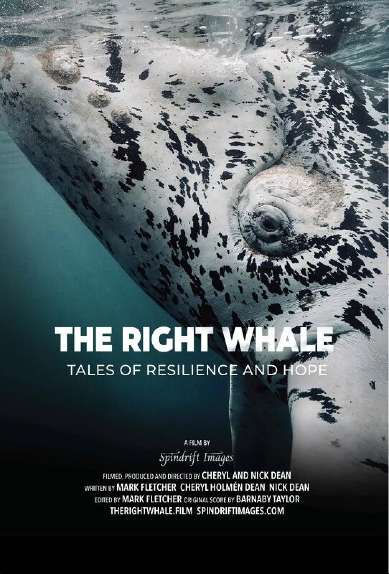 Plakat filmowy "The Right Whale"