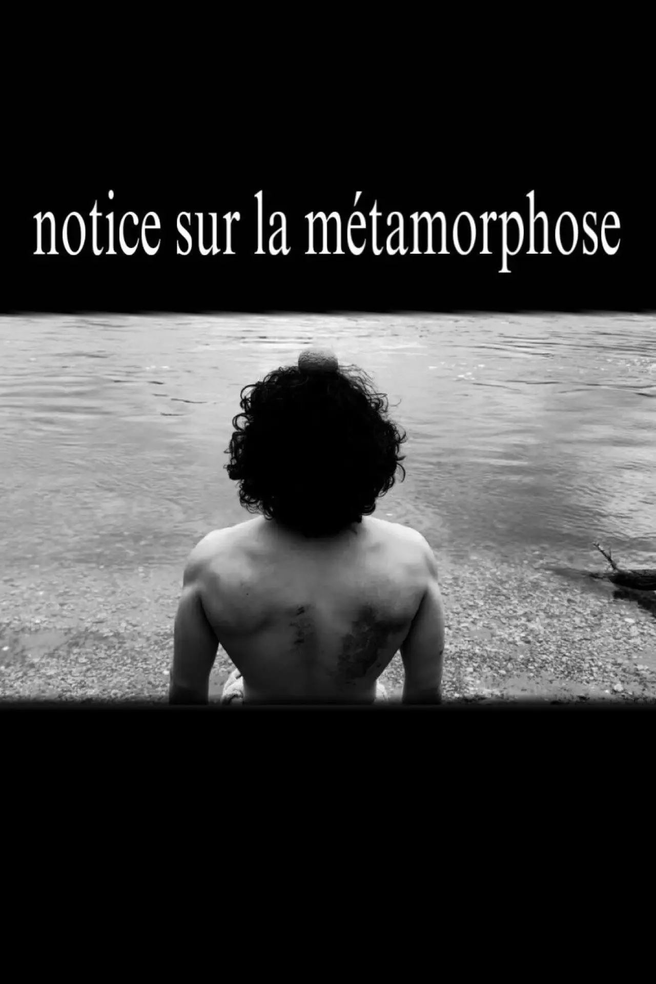 Plakat filmowy "notice sur la métamorphose"