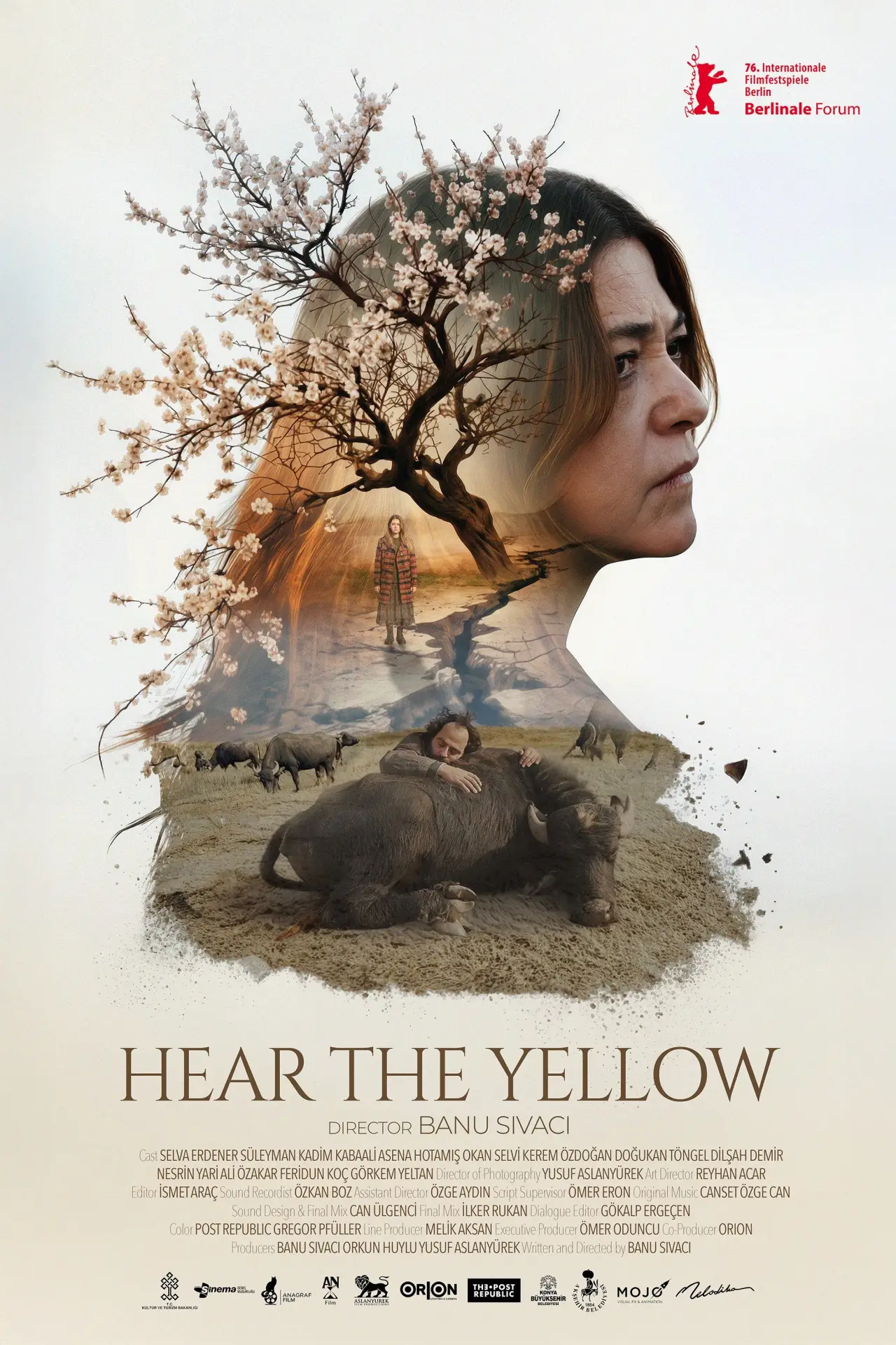 Plakat filmowy "Günyüzü"