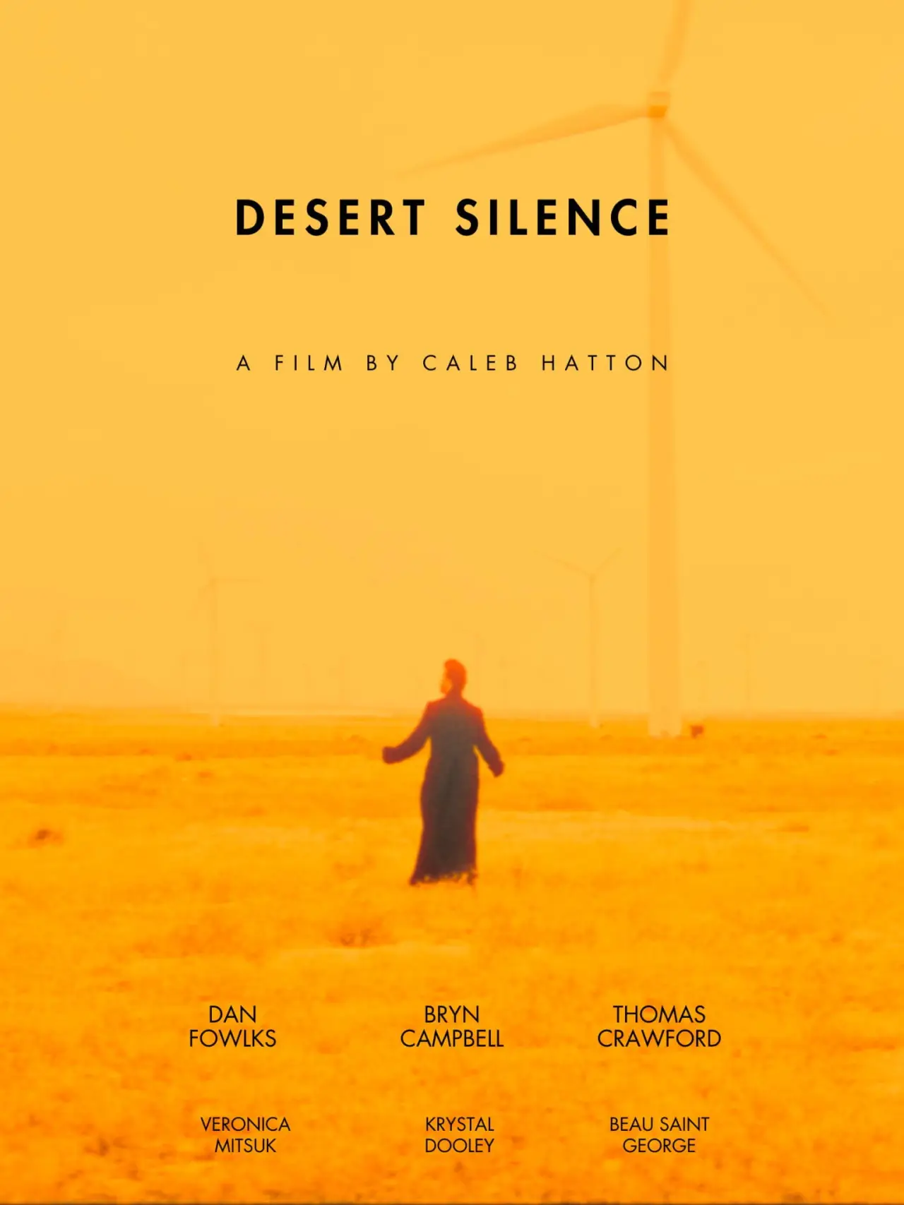 Plakat filmowy "Desert Silence"