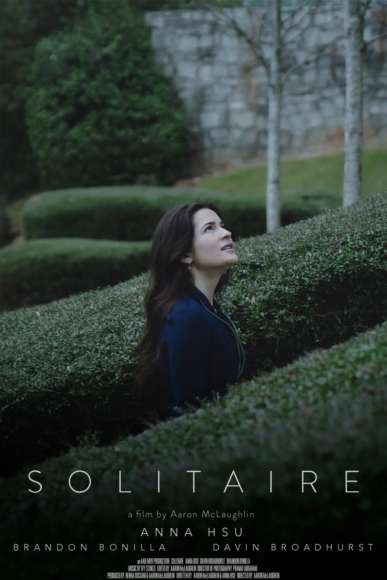 Plakat filmowy "Solitaire"