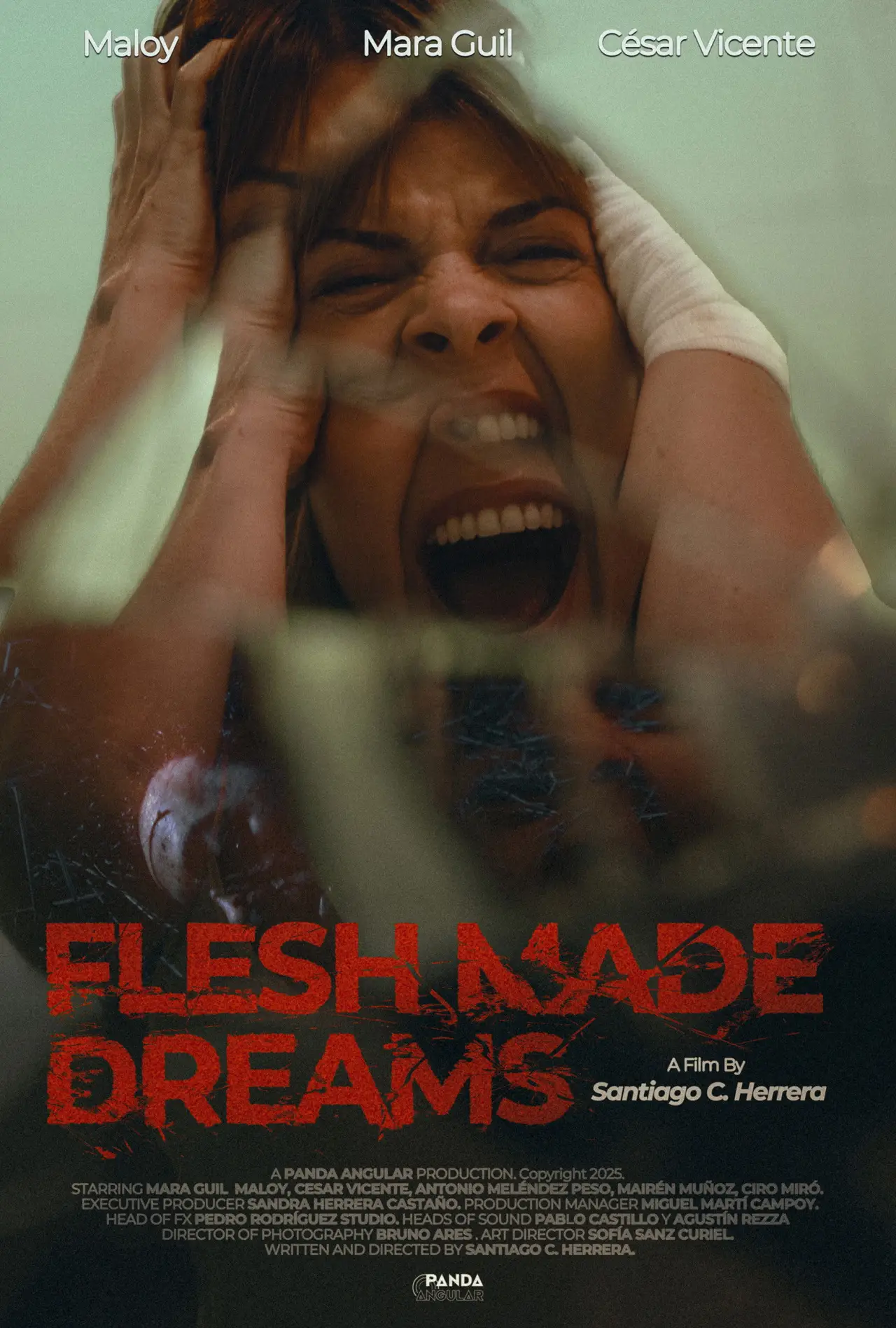 Plakat filmowy "Sueños de Carne"