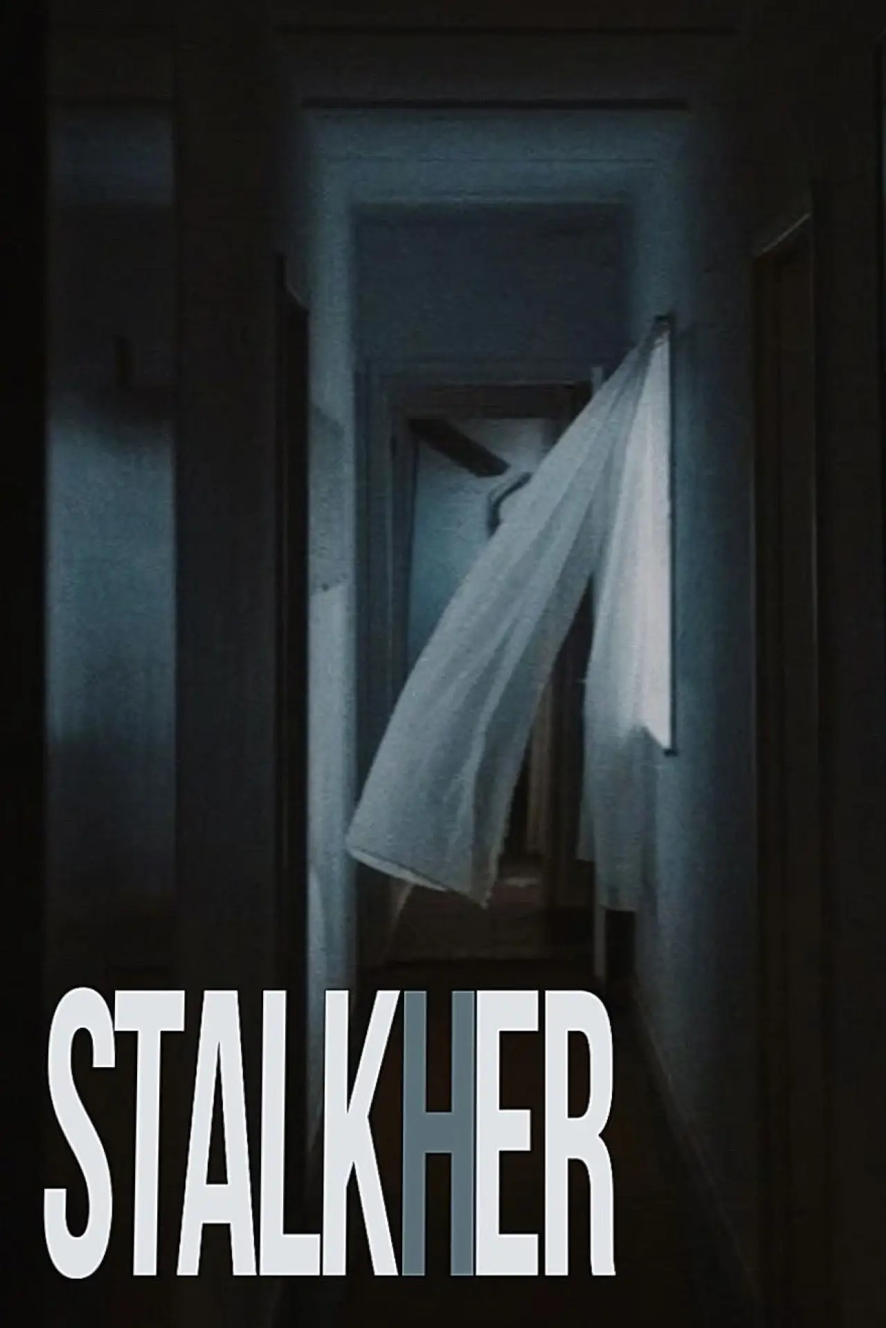 Plakat filmowy "STALKHER"