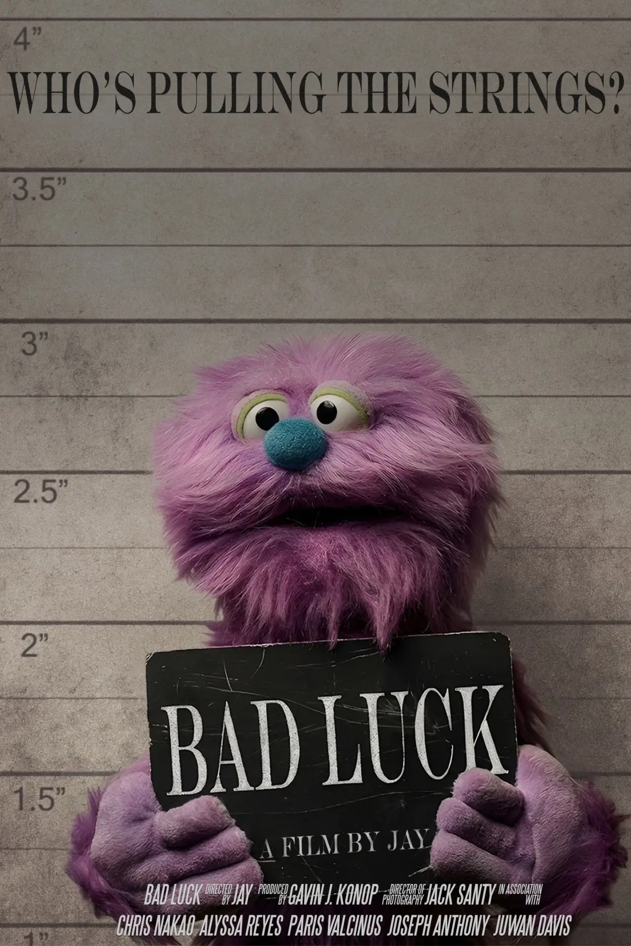 Plakat filmowy "Bad Luck"