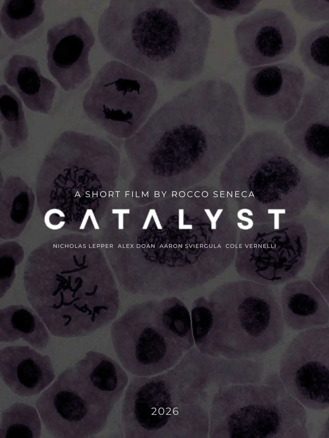 Plakat filmowy "Catalyst"