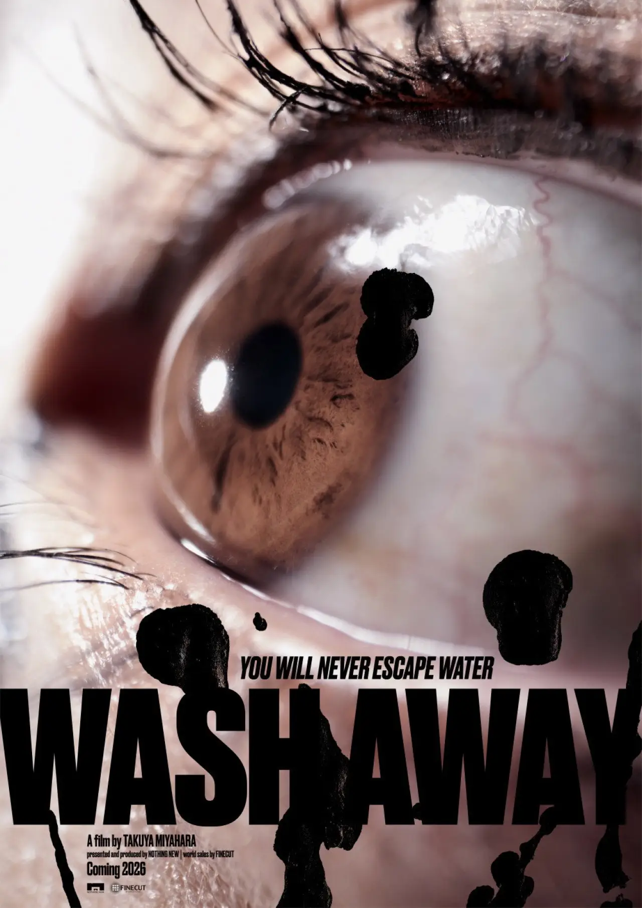 Plakat filmowy "洗浄"
