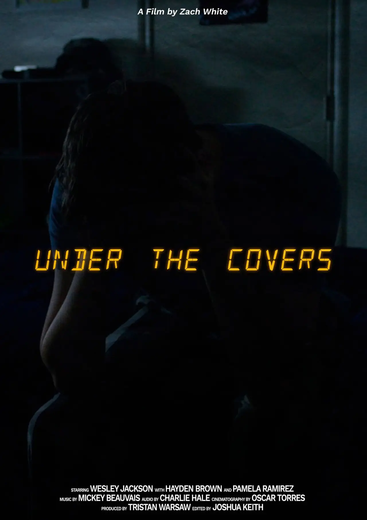 Plakat filmowy "Under The Covers"