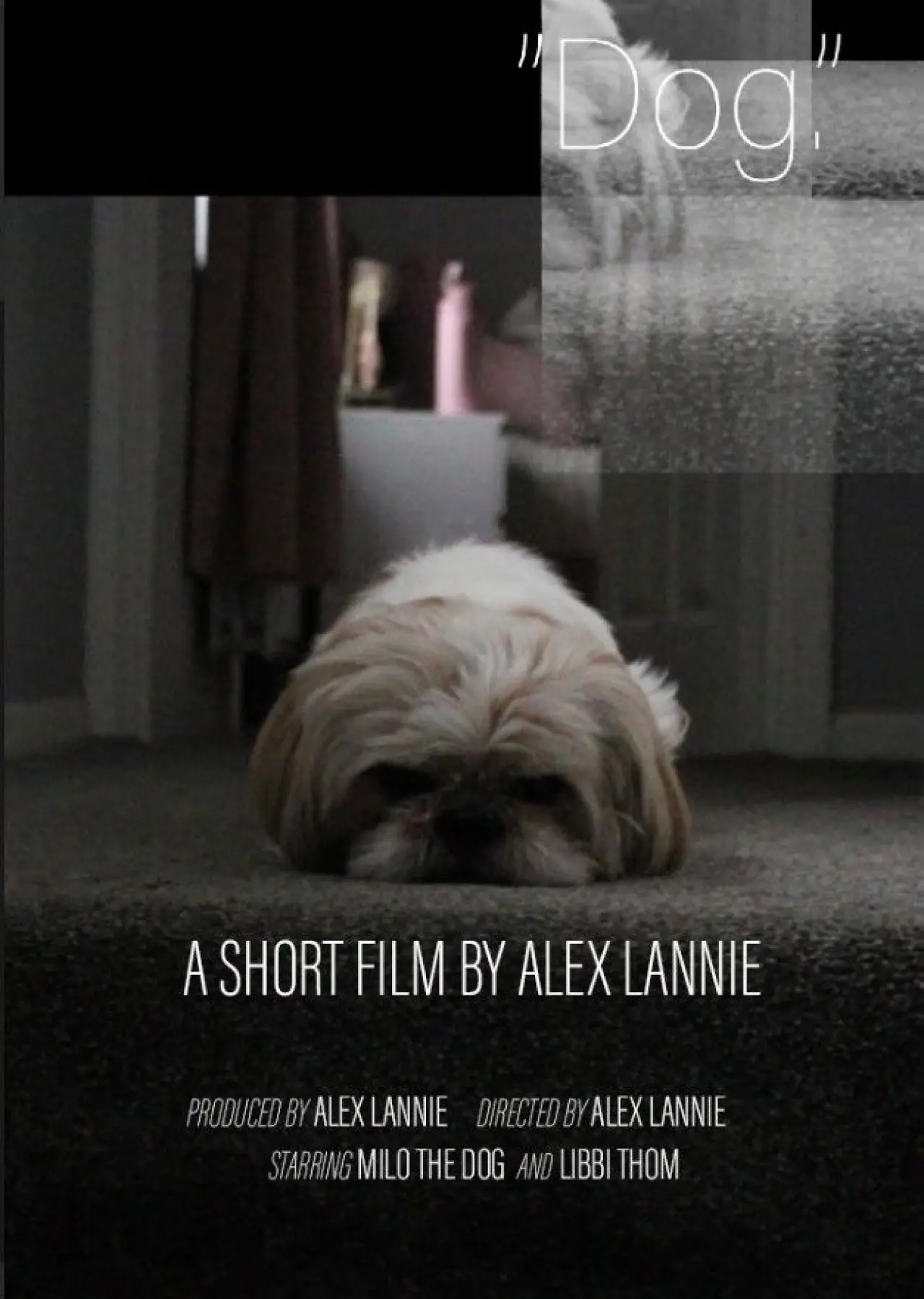 Plakat filmowy "“Dog.”"