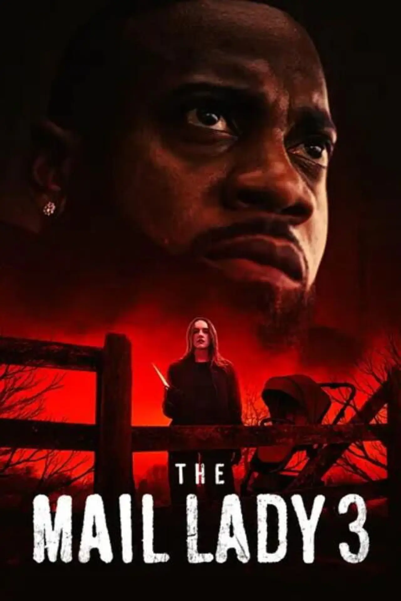 Plakat filmowy "The Mail Lady 3"