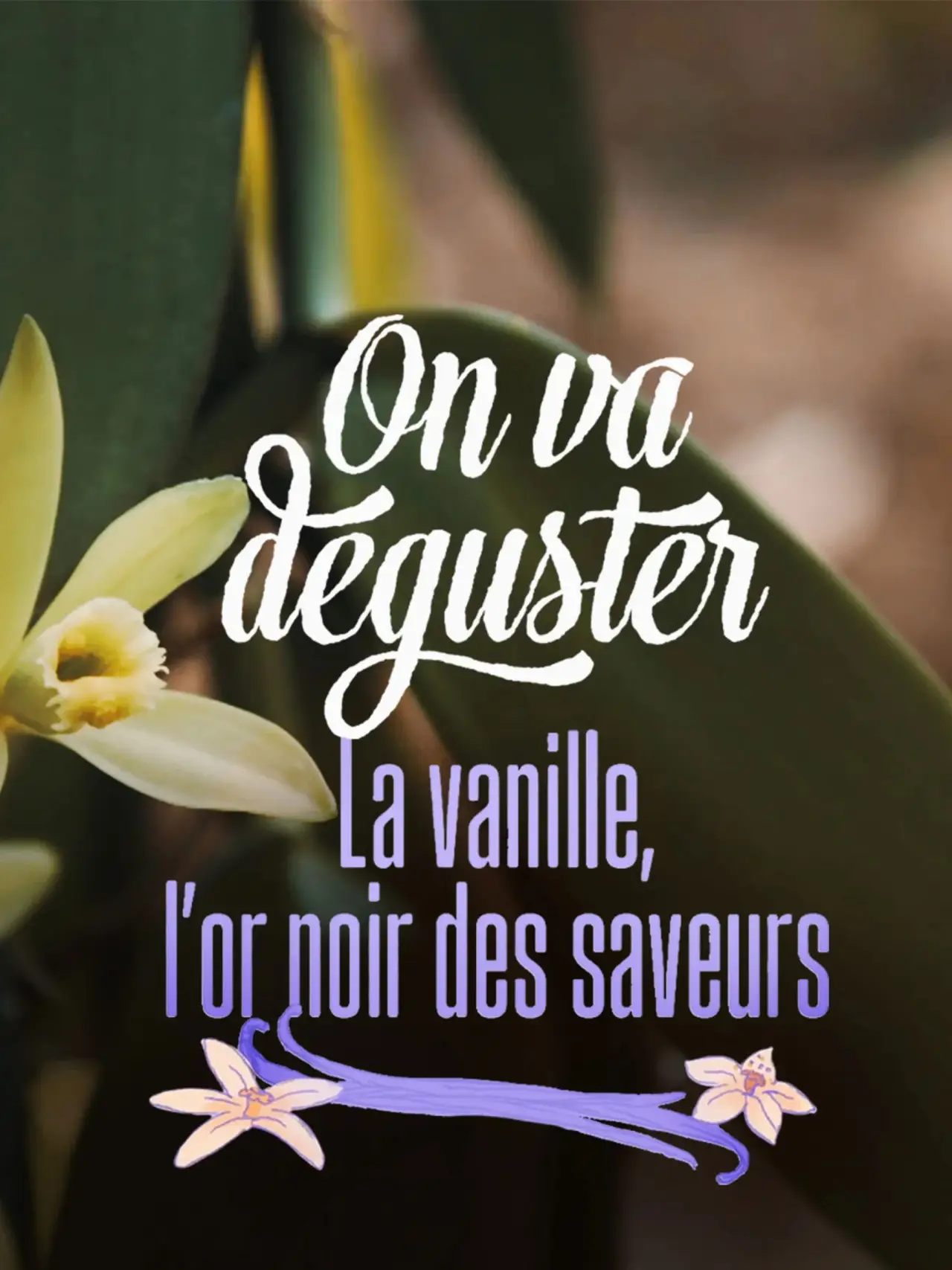 Plakat filmowy "On va déguster : La vanille, l