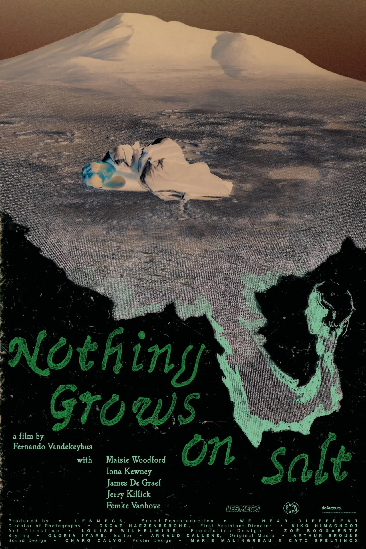 Plakat filmowy "Nothing Grows on Salt"